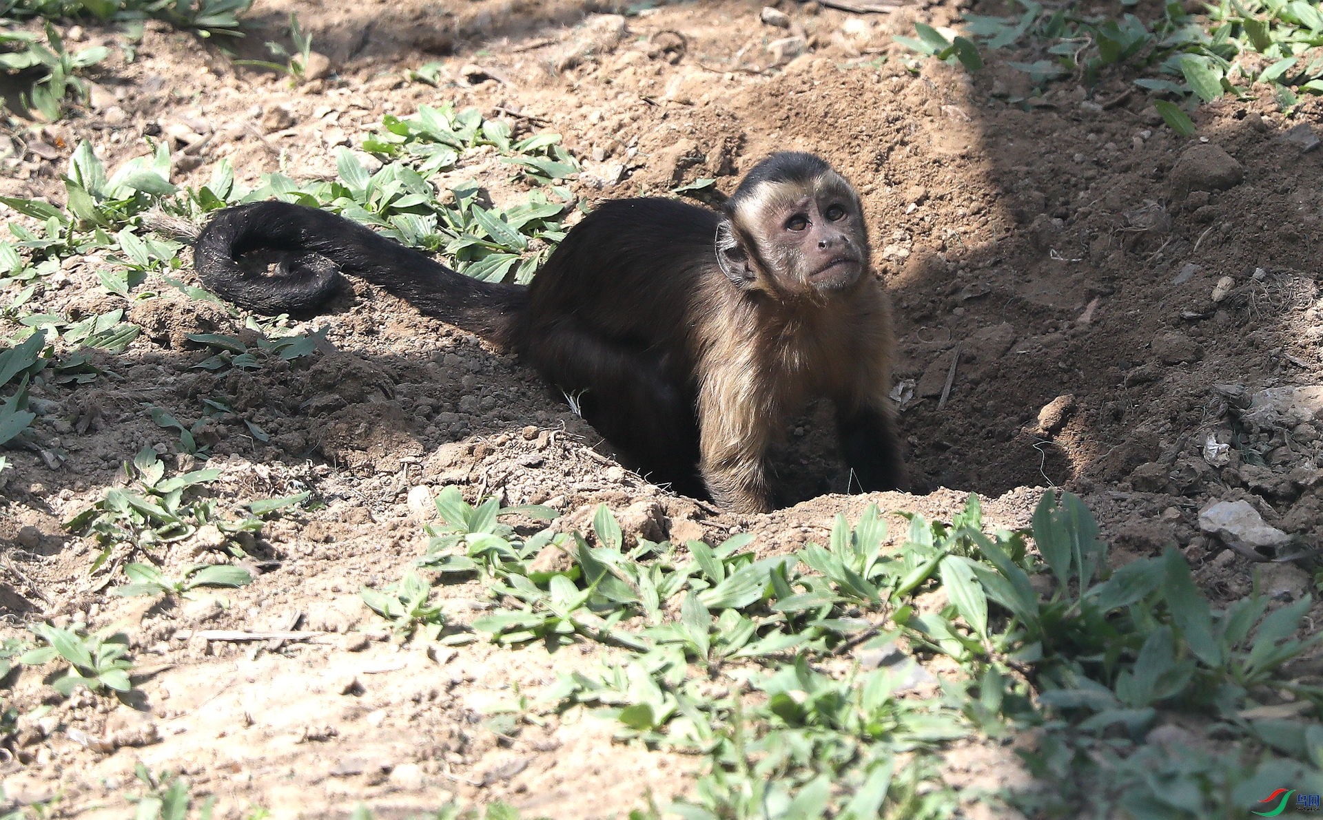 9G8A3156.JPG