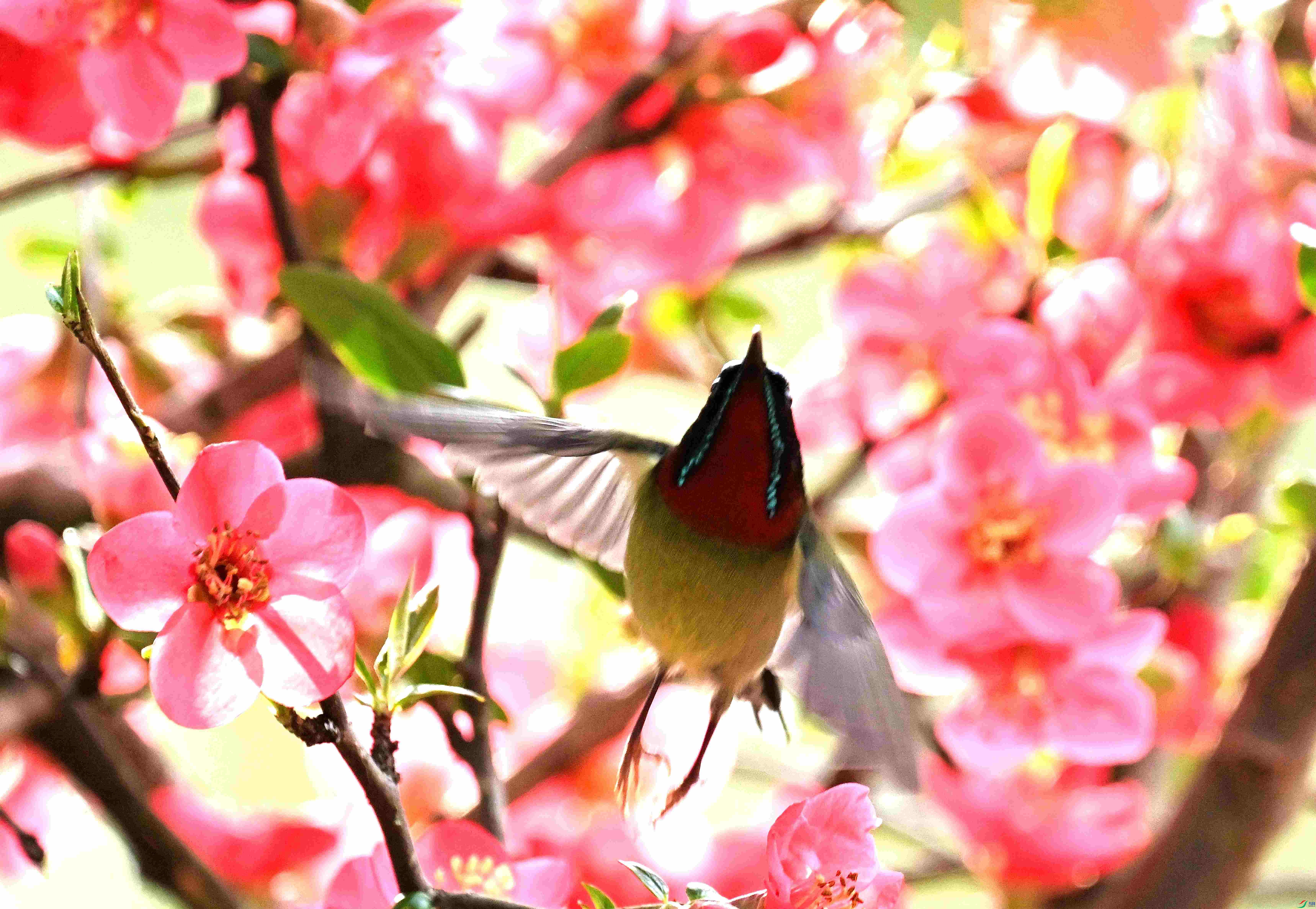 DSC_7148.jpg