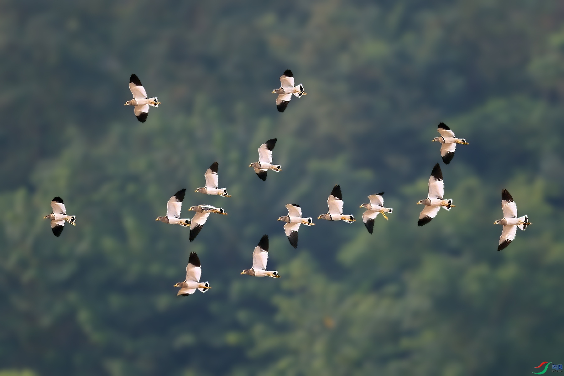 A74I7855_����.jpg