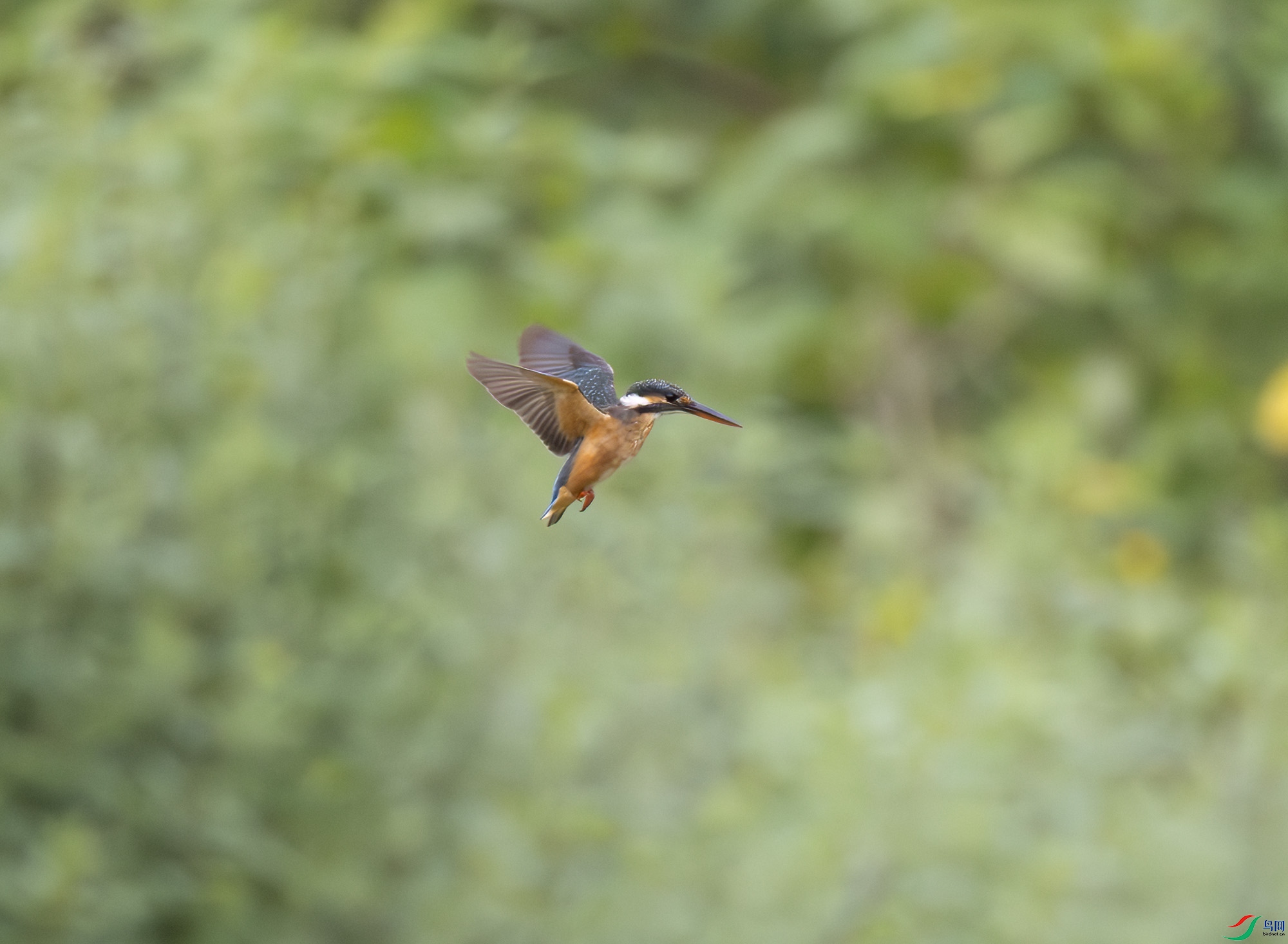 G47A4475-����ǿ-NR ����.jpg