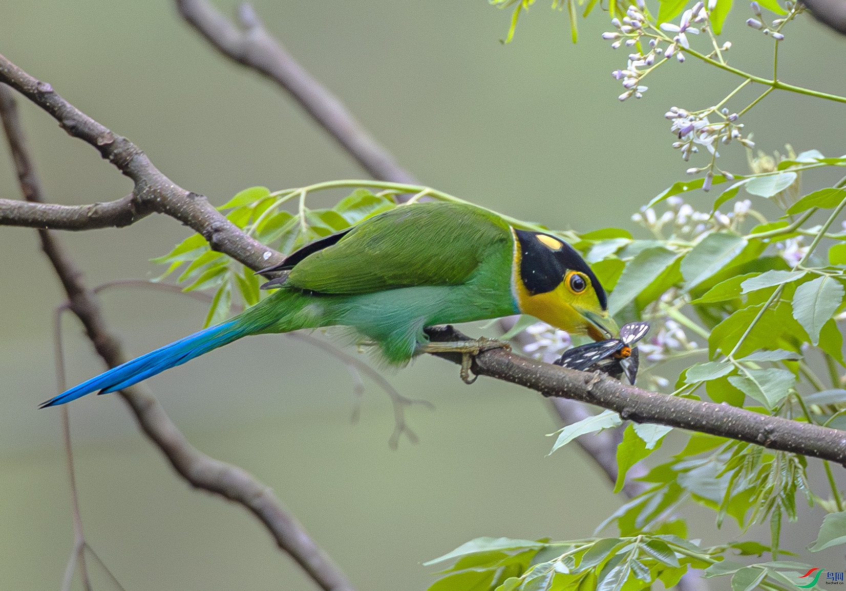 A46I0941-����ǿ-NR ����.jpg