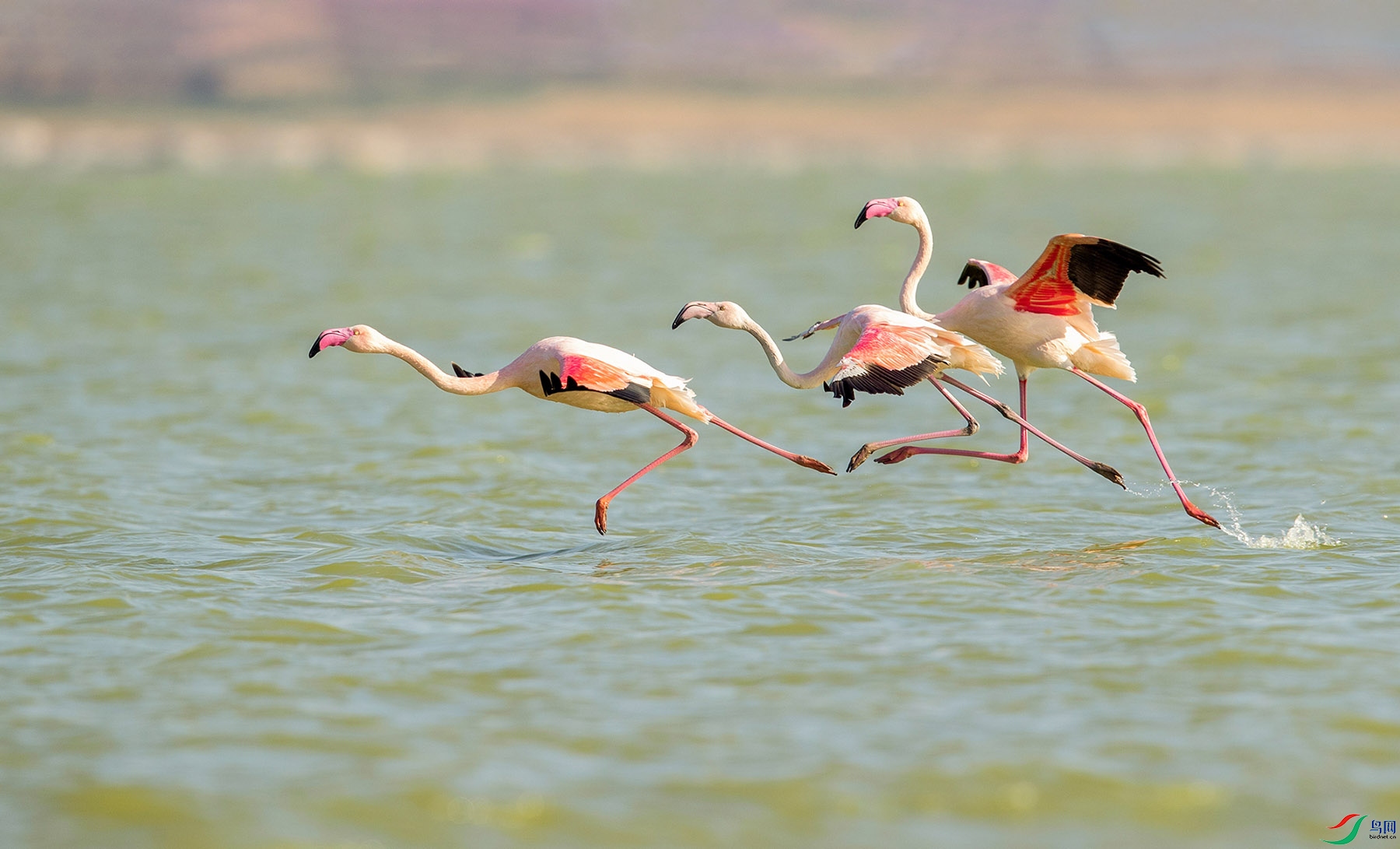 _U4I0923 ���� 3.jpg