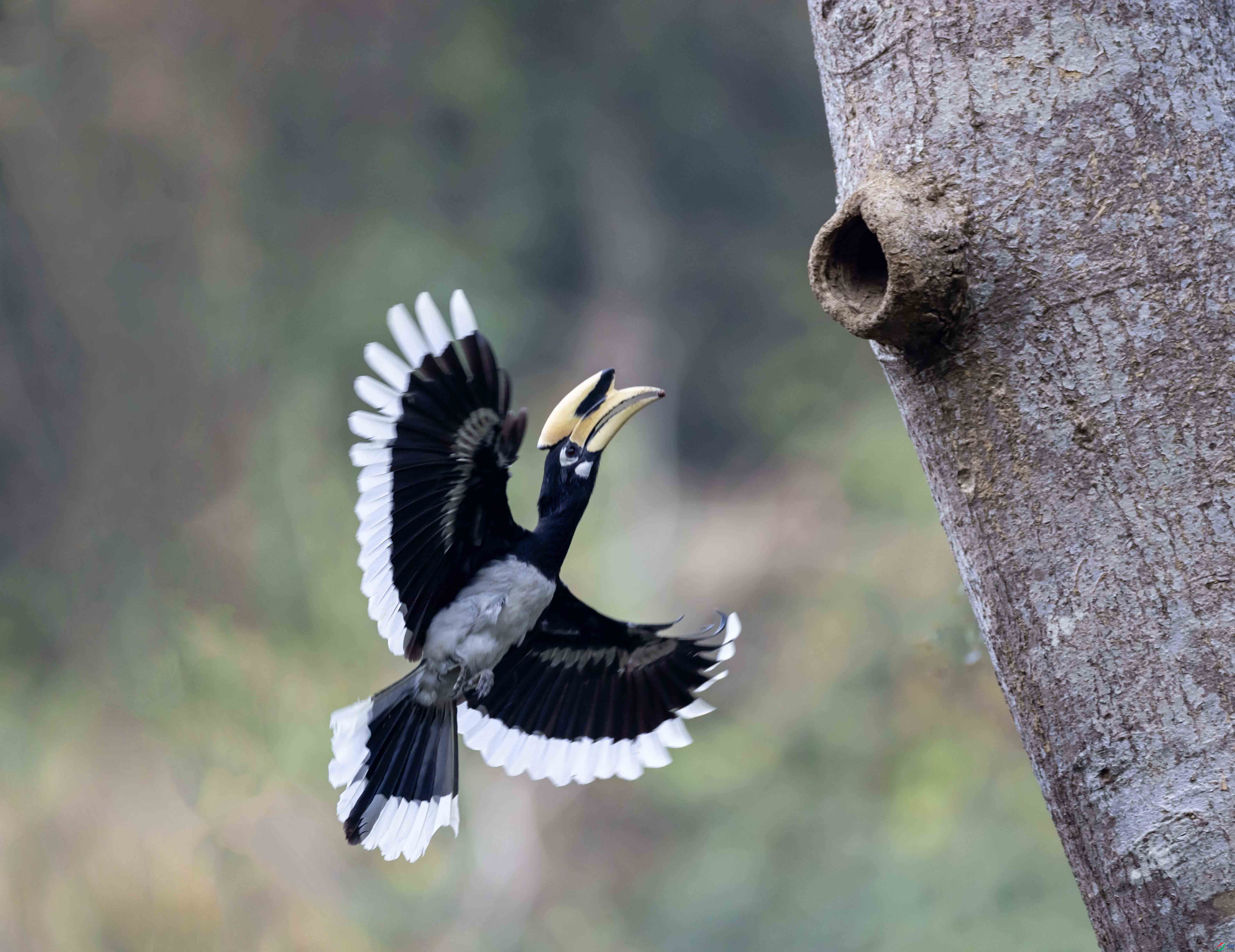 1-xt4L2A8043 ���� -�Ͳ�.jpg