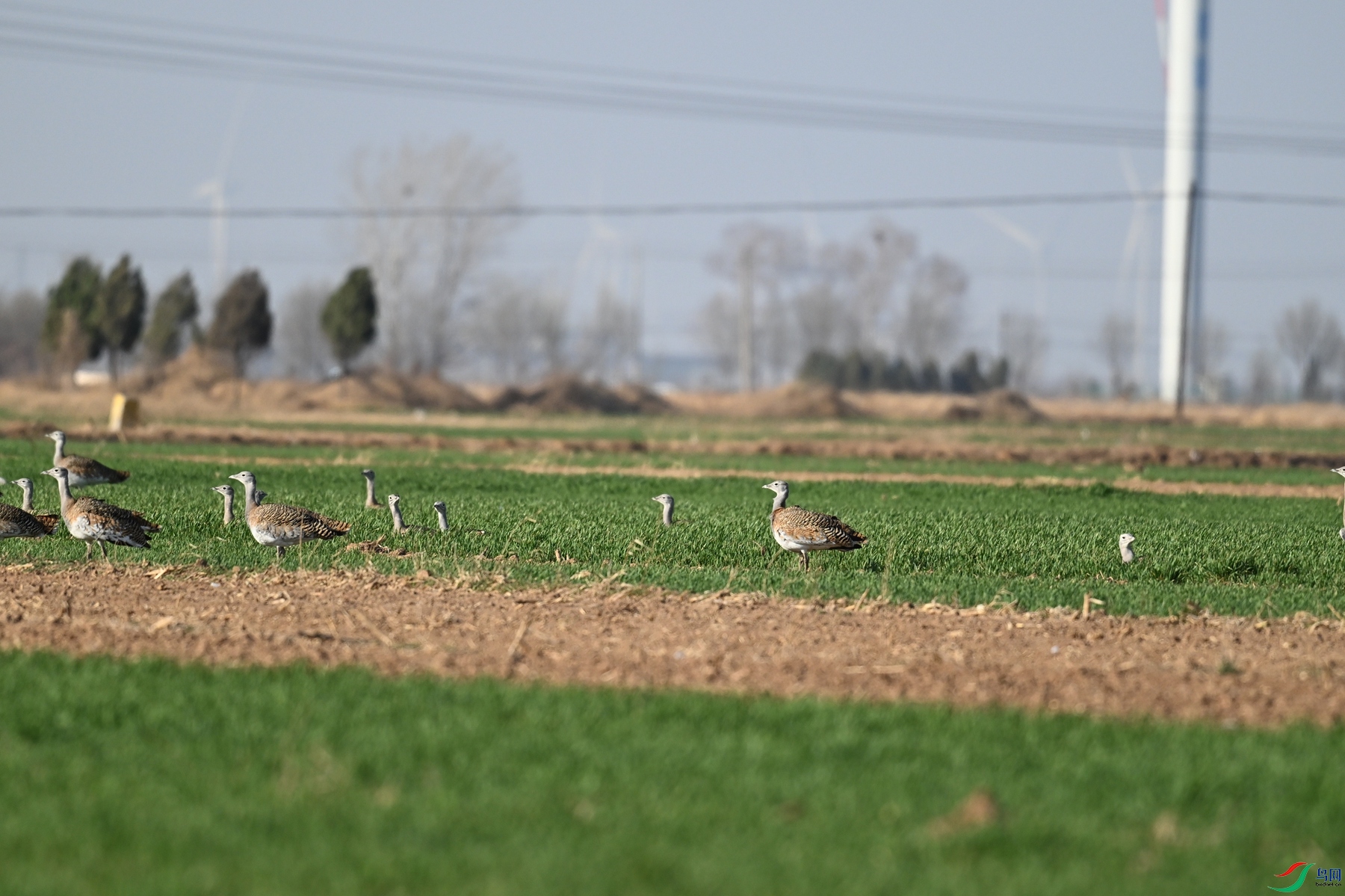 DSC_9892.JPG