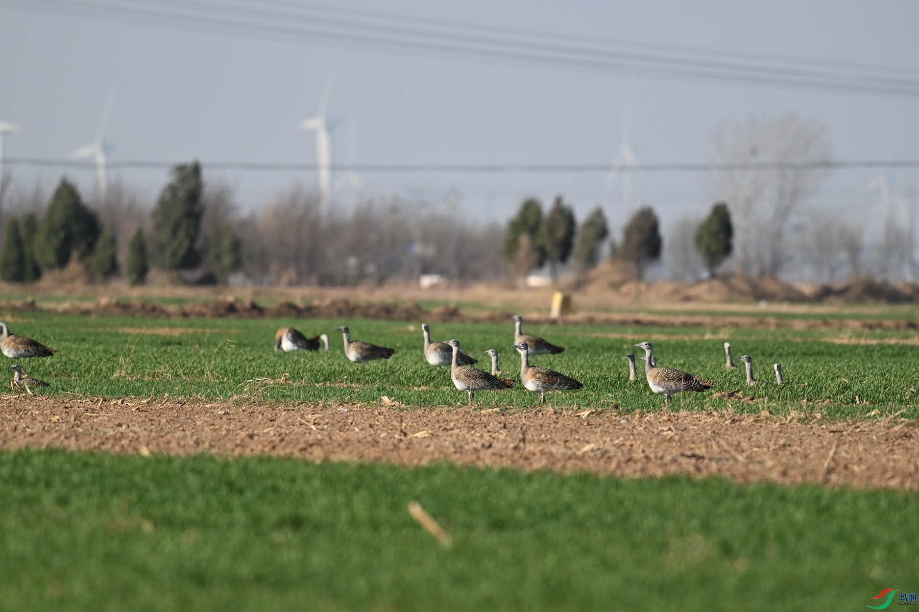 DSC_9907.JPG
