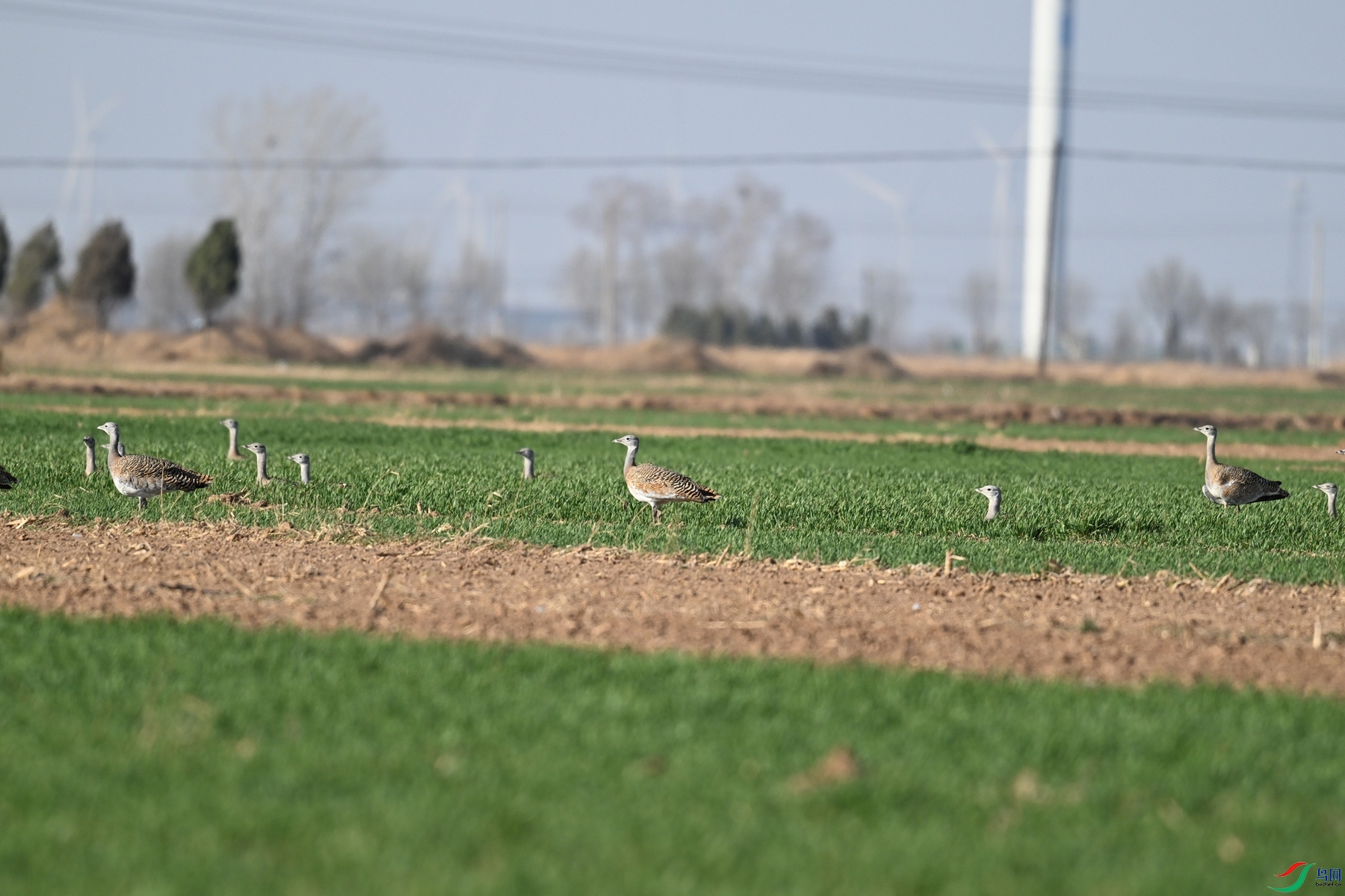 DSC_9894.JPG