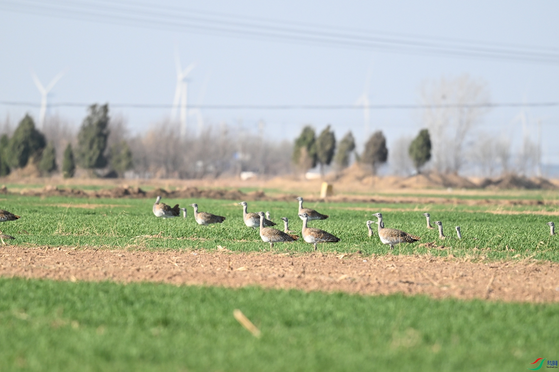 DSC_9911.JPG