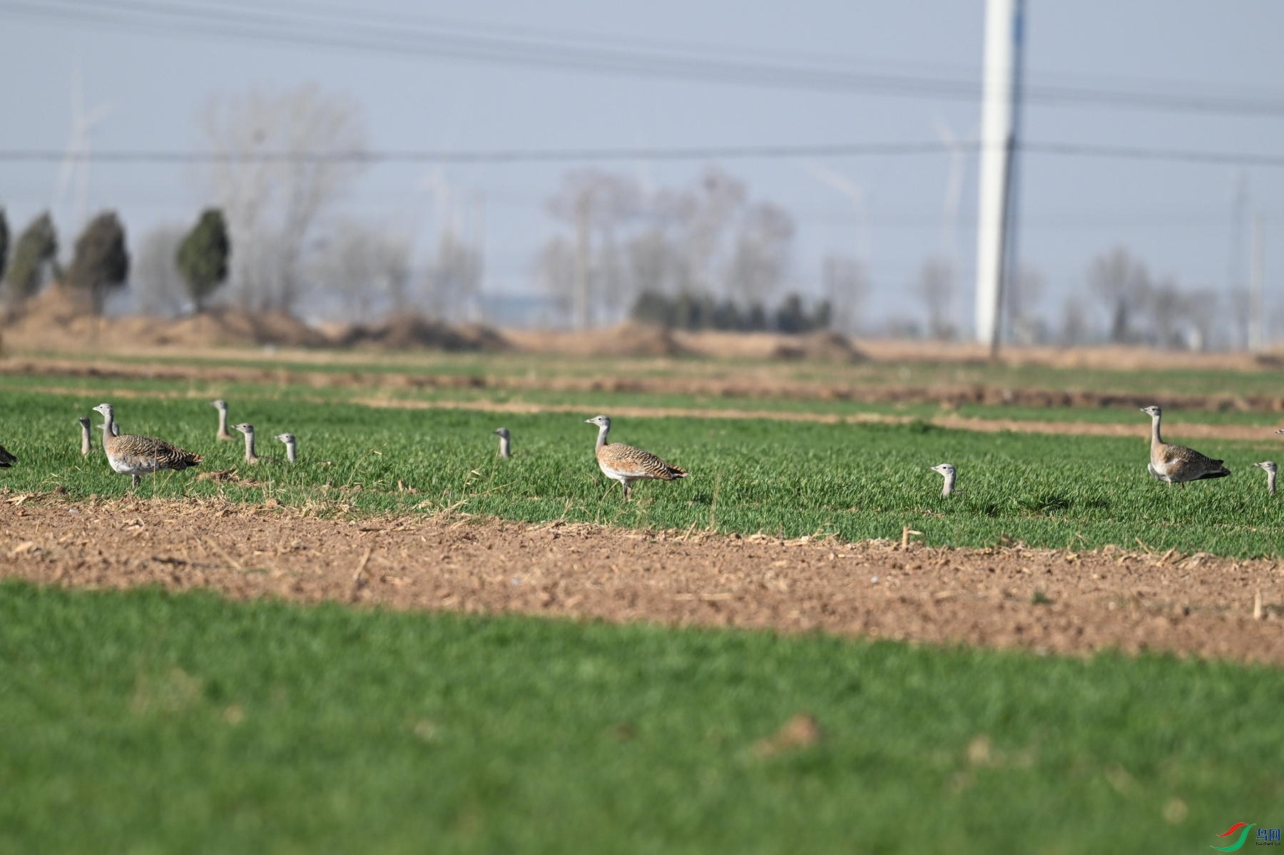 DSC_9896.JPG