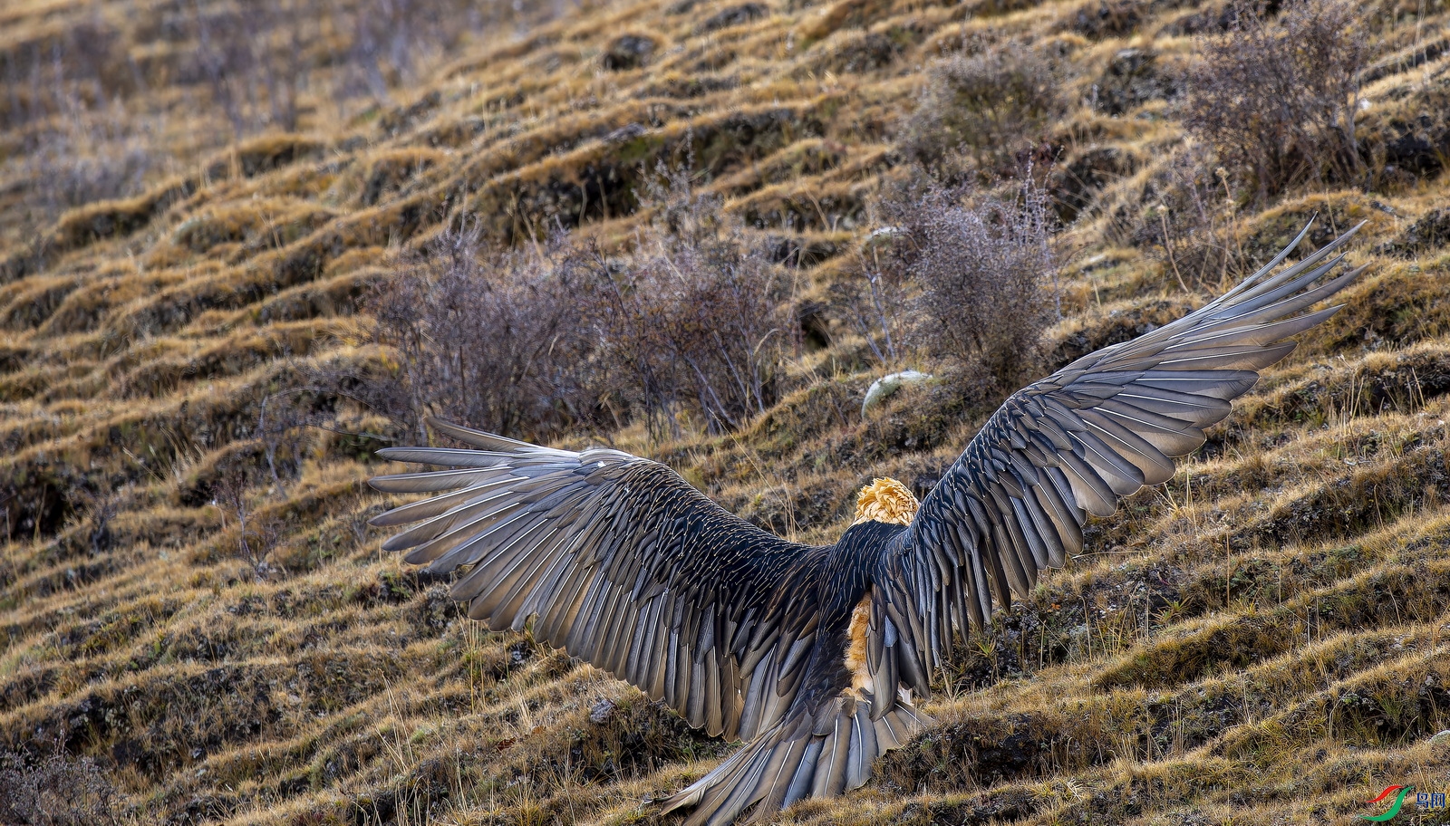 ��أ�� (1199)-01.jpg