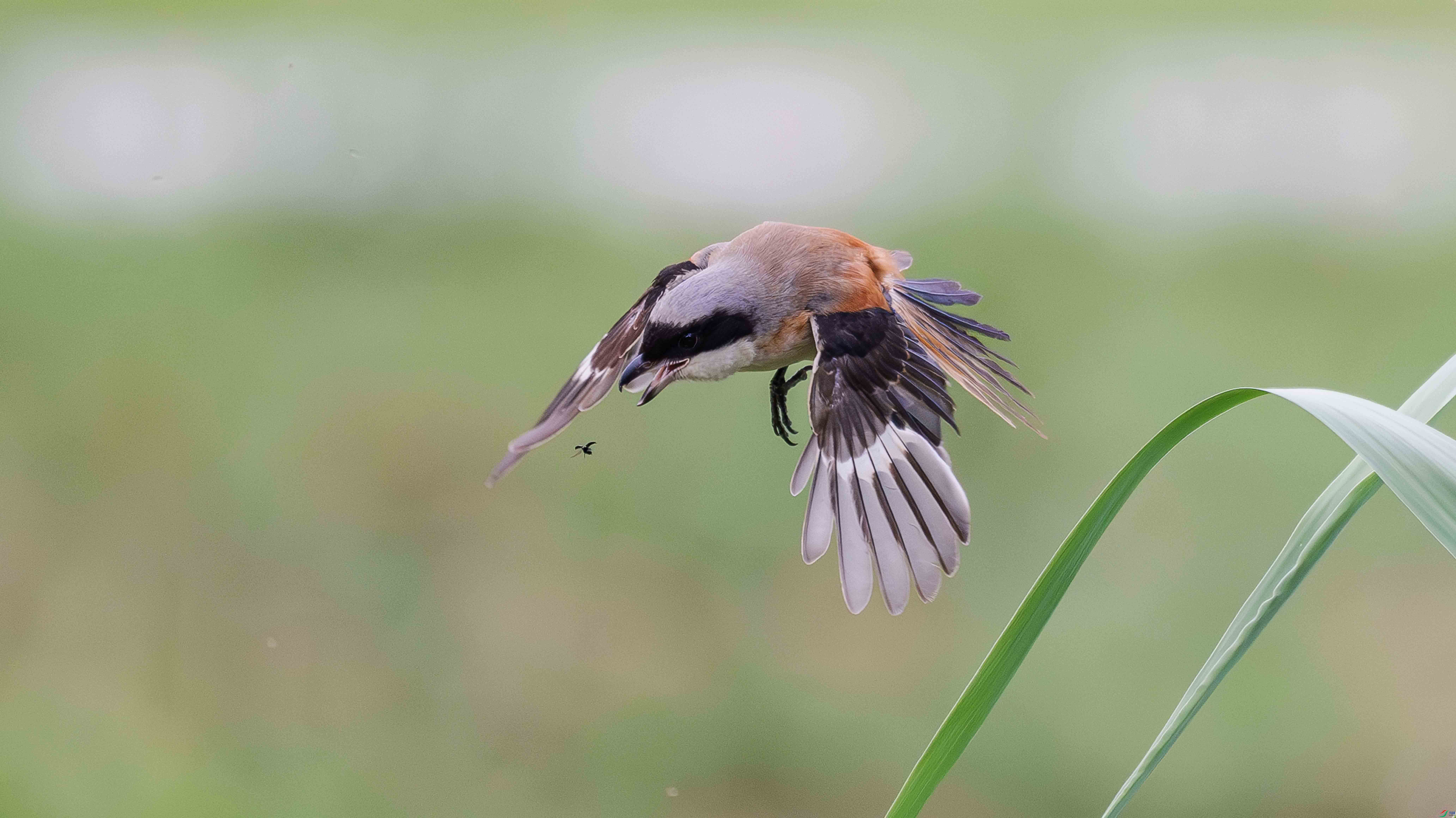 ����   ���°�