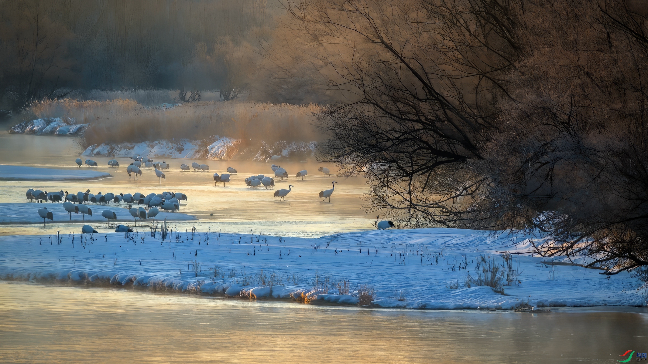 DSC_5380.jpg������_����_���� ����-topaz-denoise-enhance-2.6x-exposure-color_����.jpg