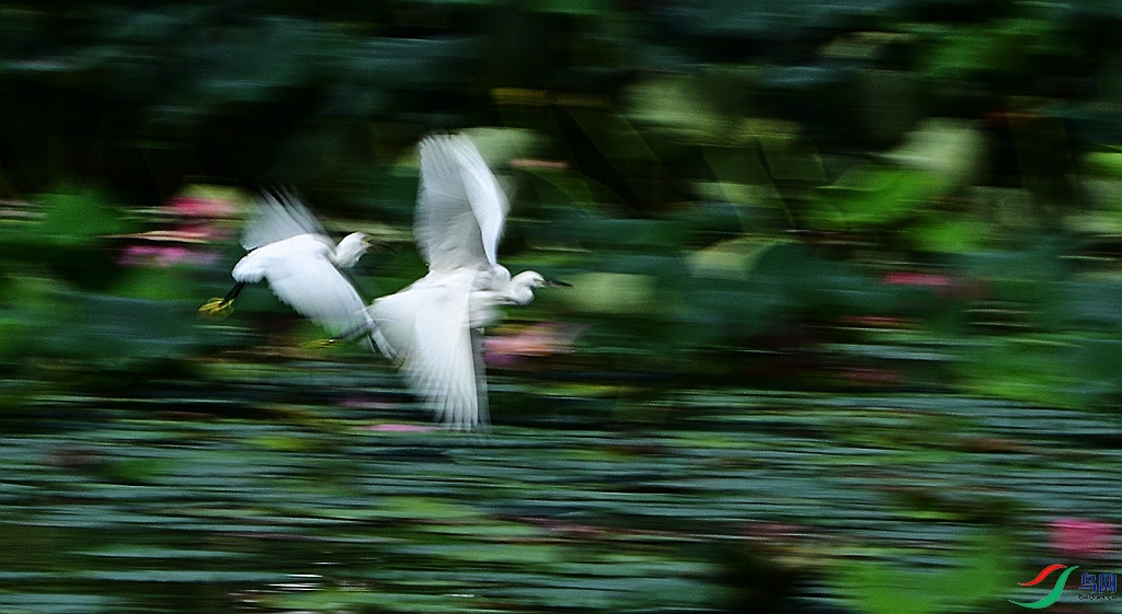 DSC_4039.JPG