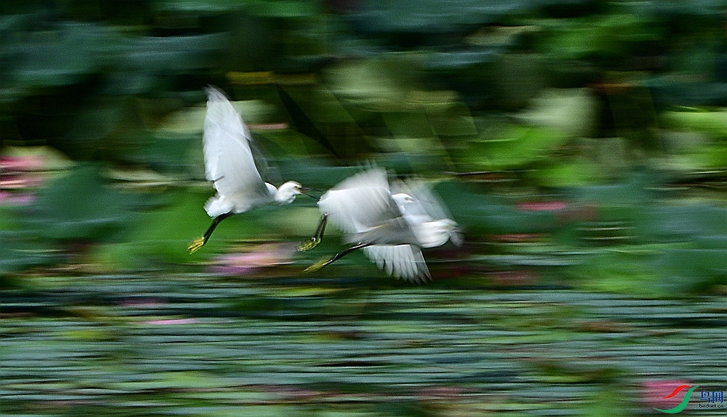 DSC_4040.JPG