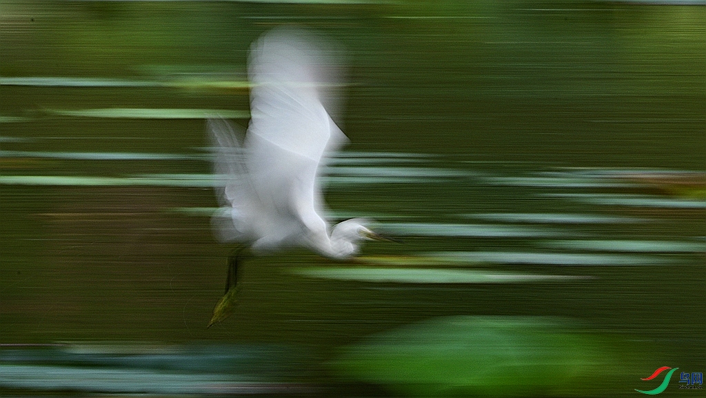 DSC_4204.JPG