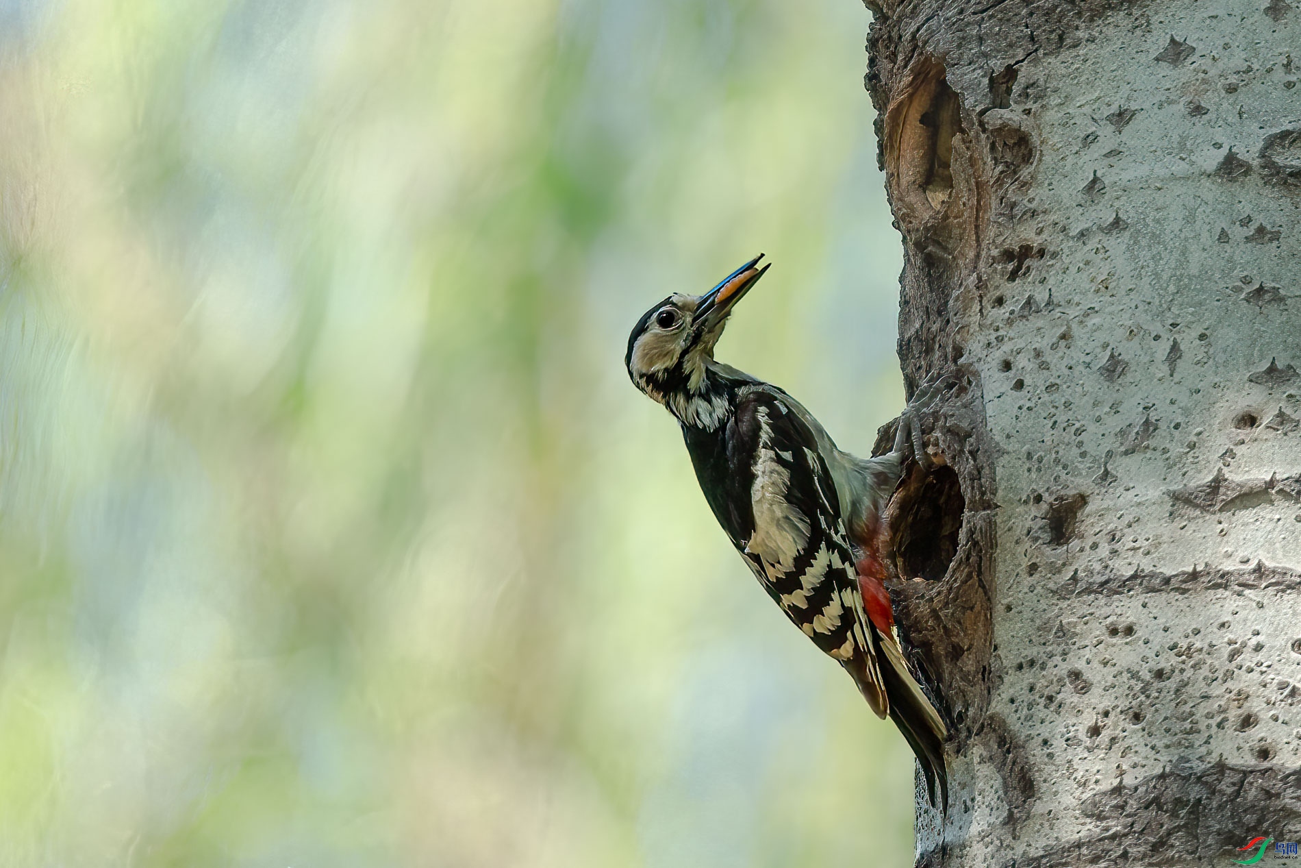 AQ4P9766-1.jpg