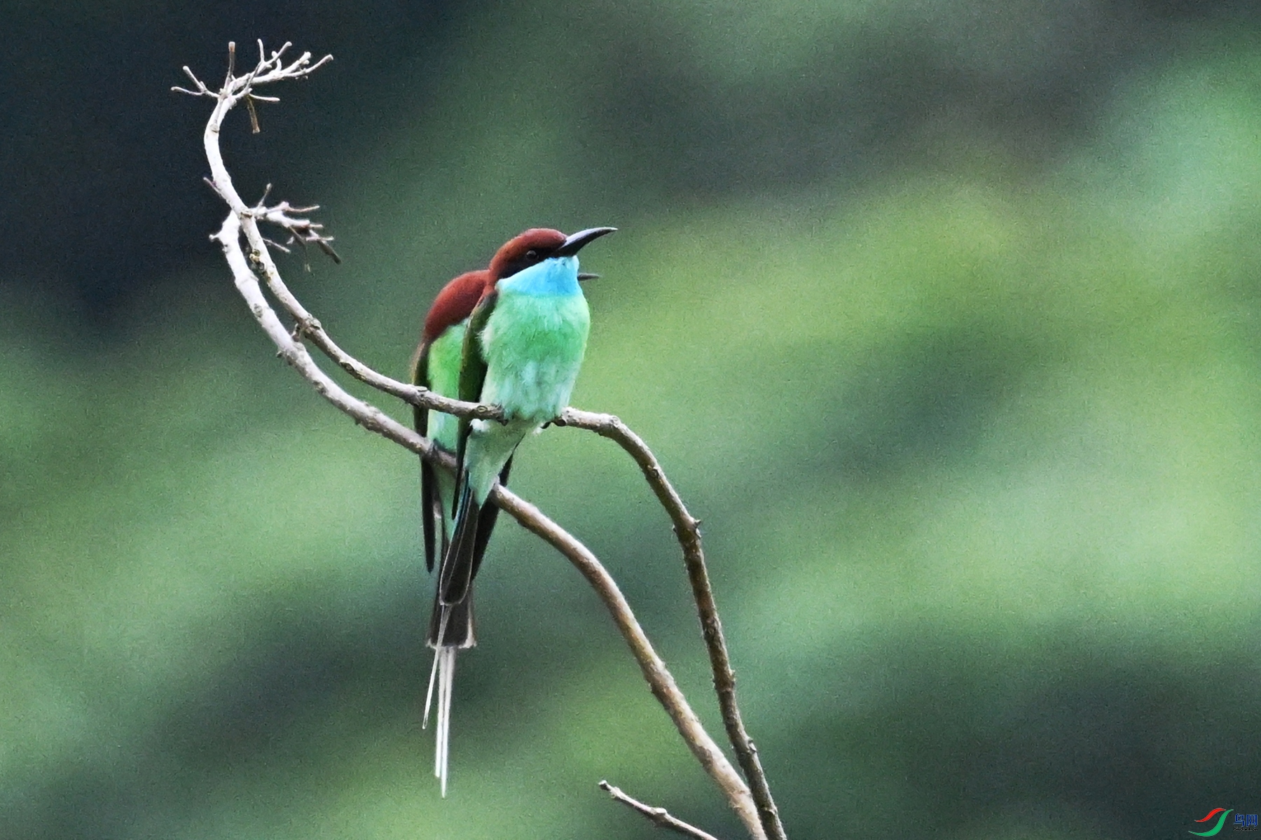 DSC_8332.JPG