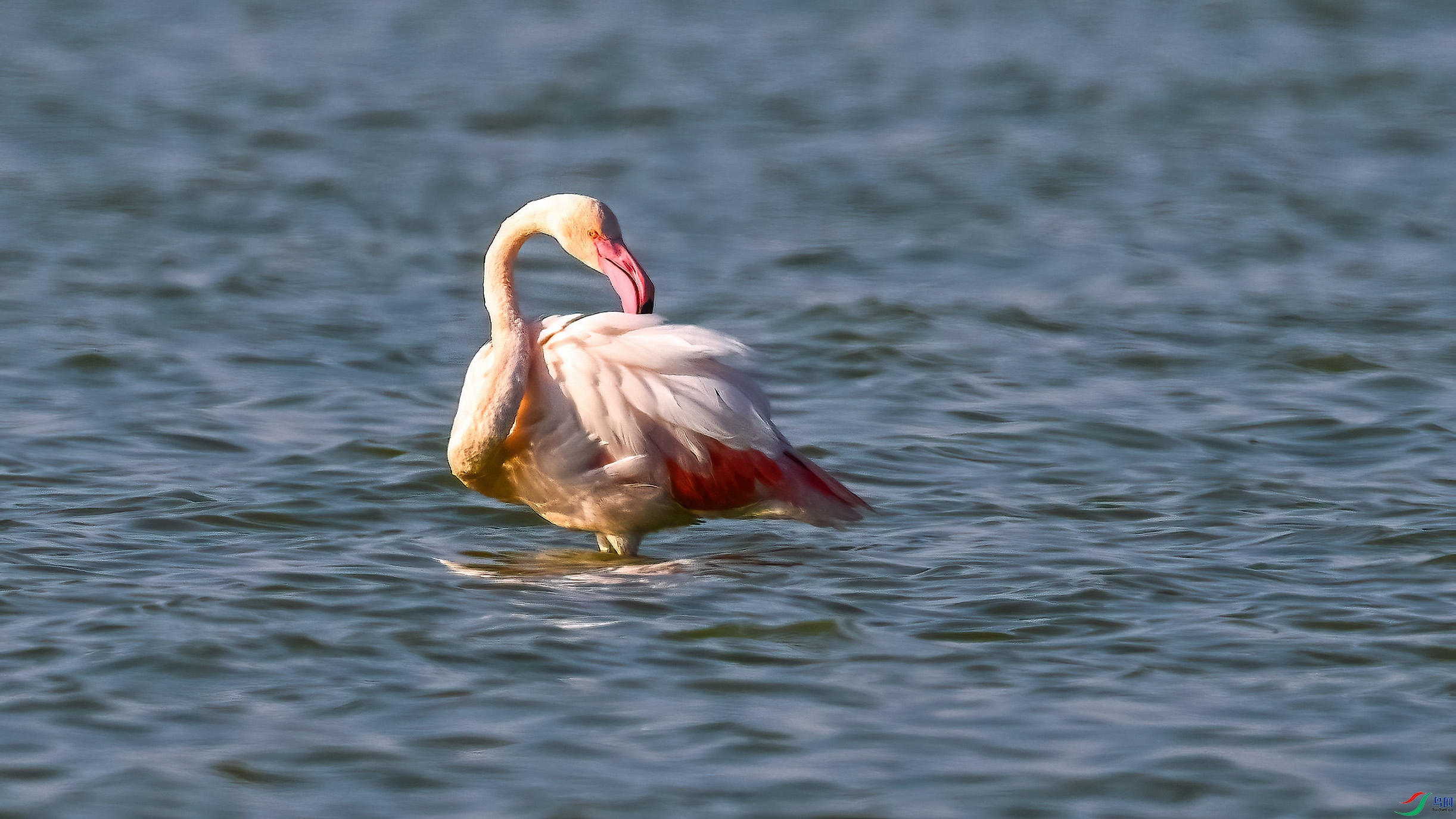 DSC_0676.jpg