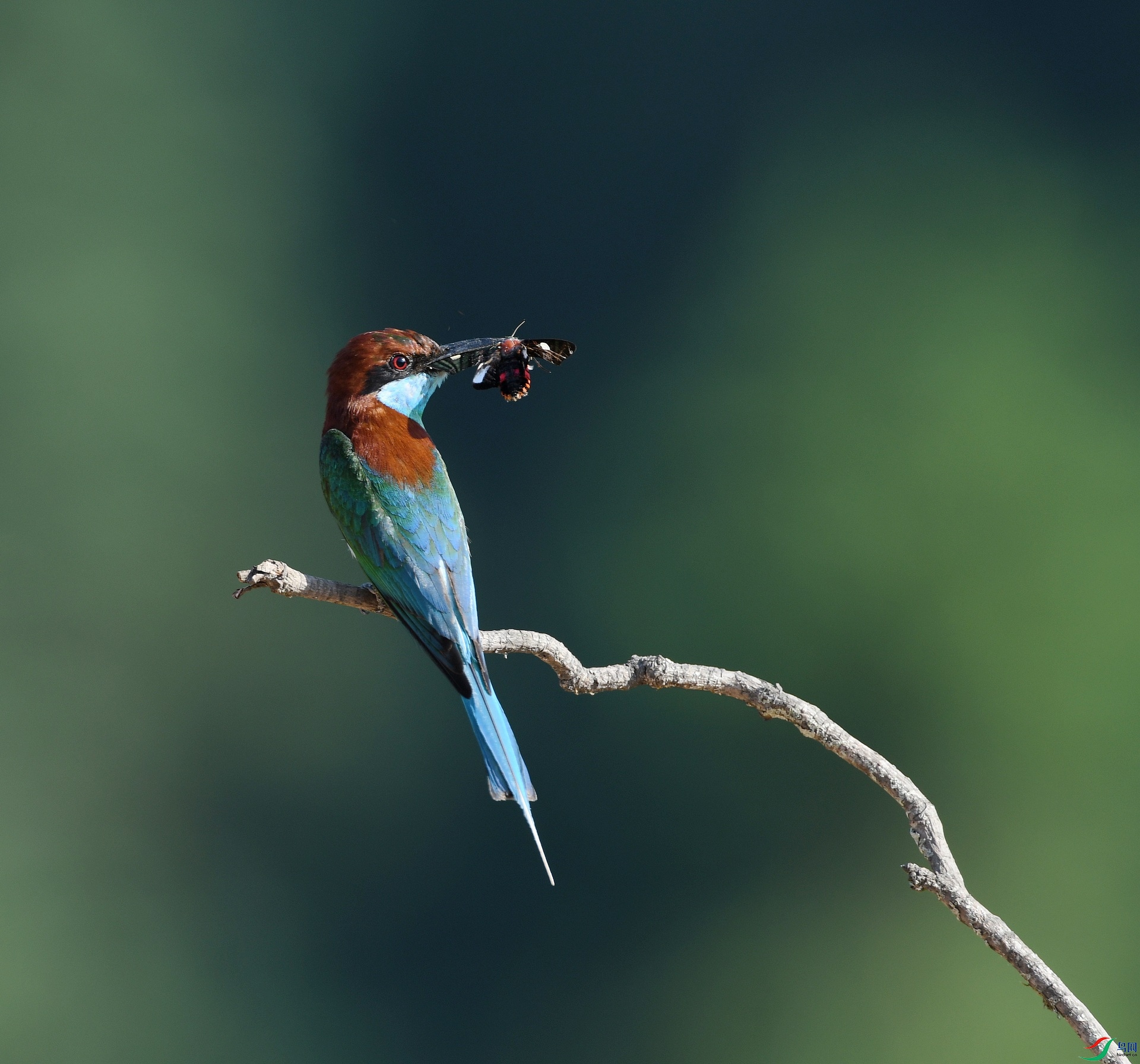 DSC_4635.jpg