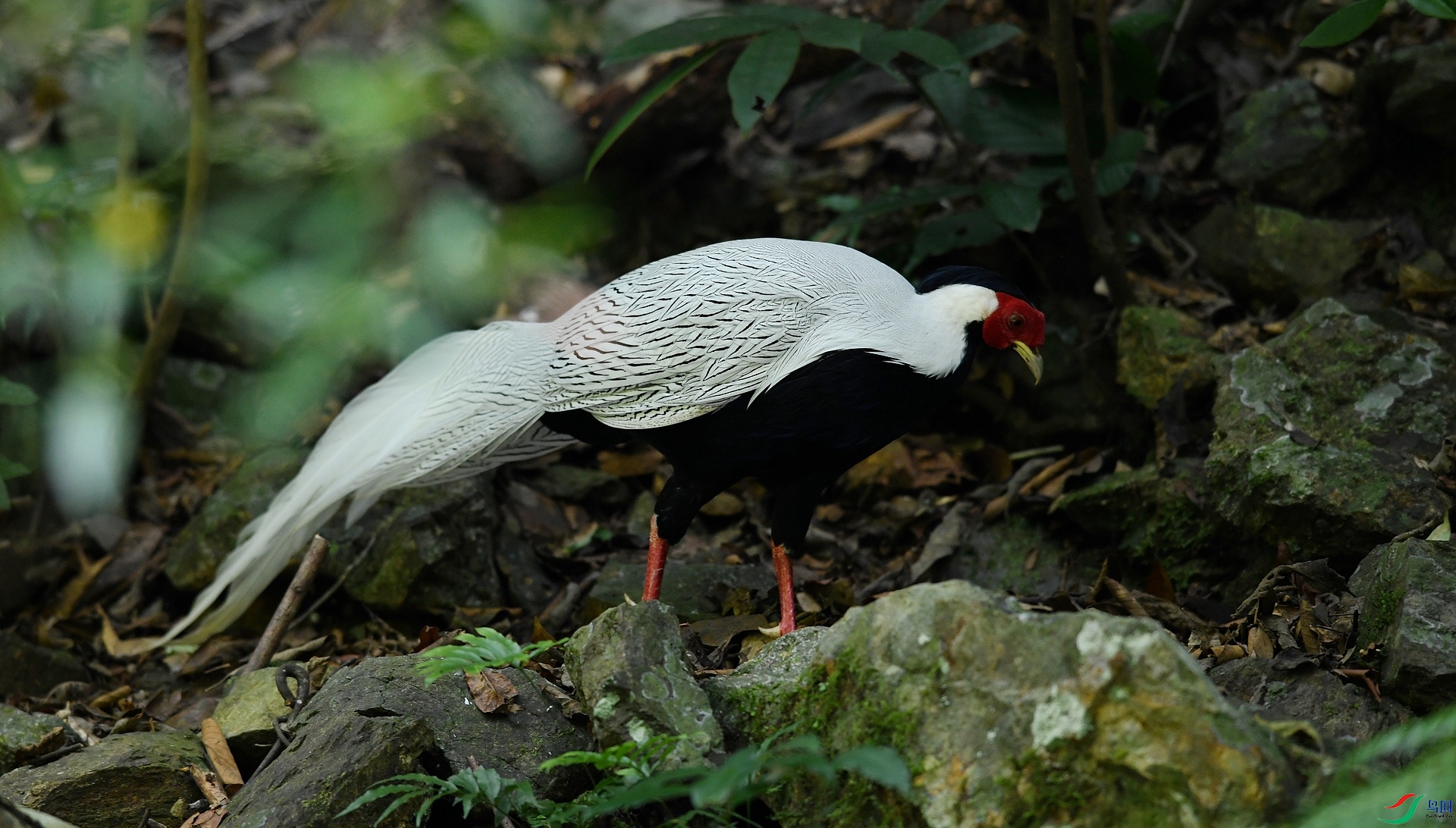 DSC_2994.jpg