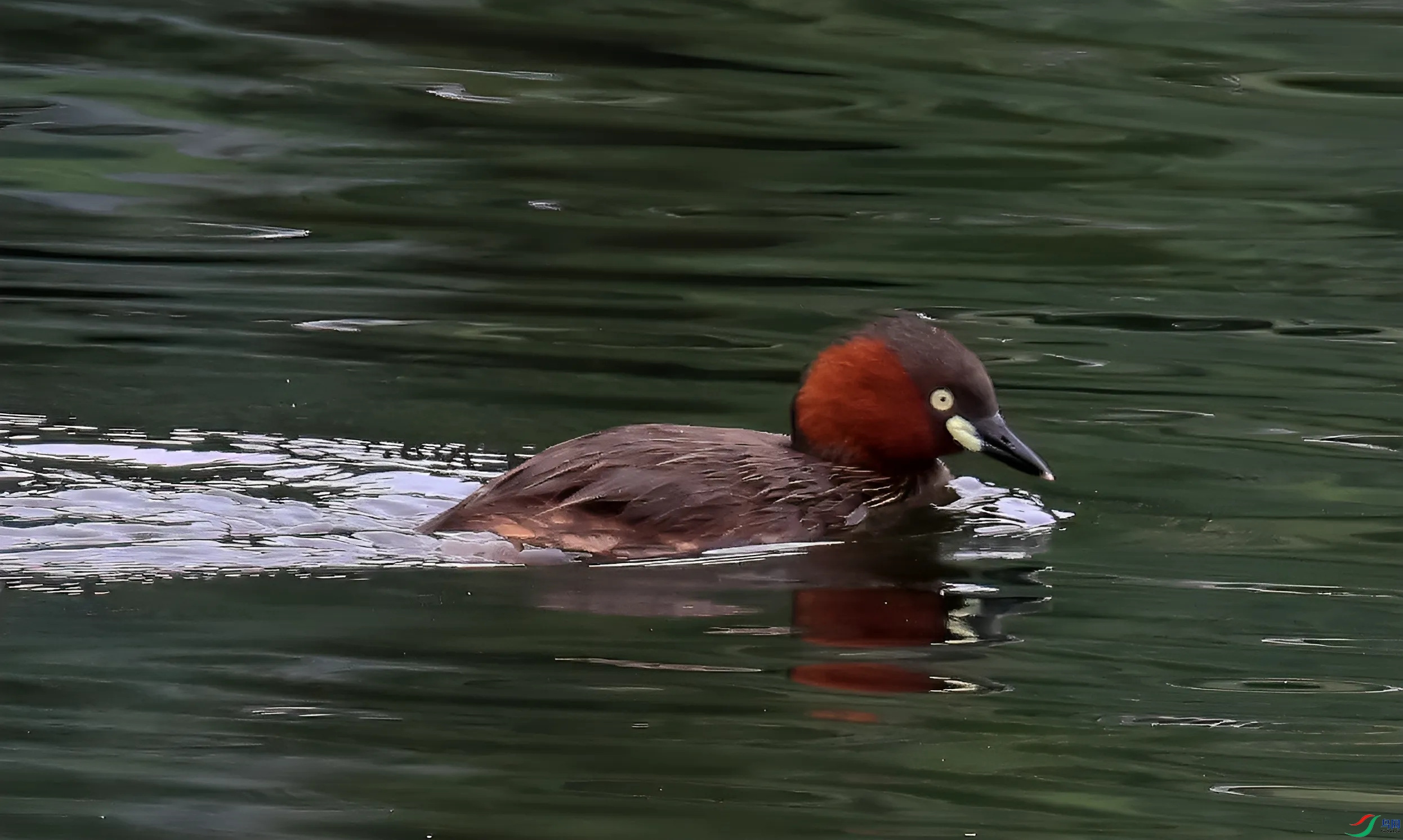 �����Ե�