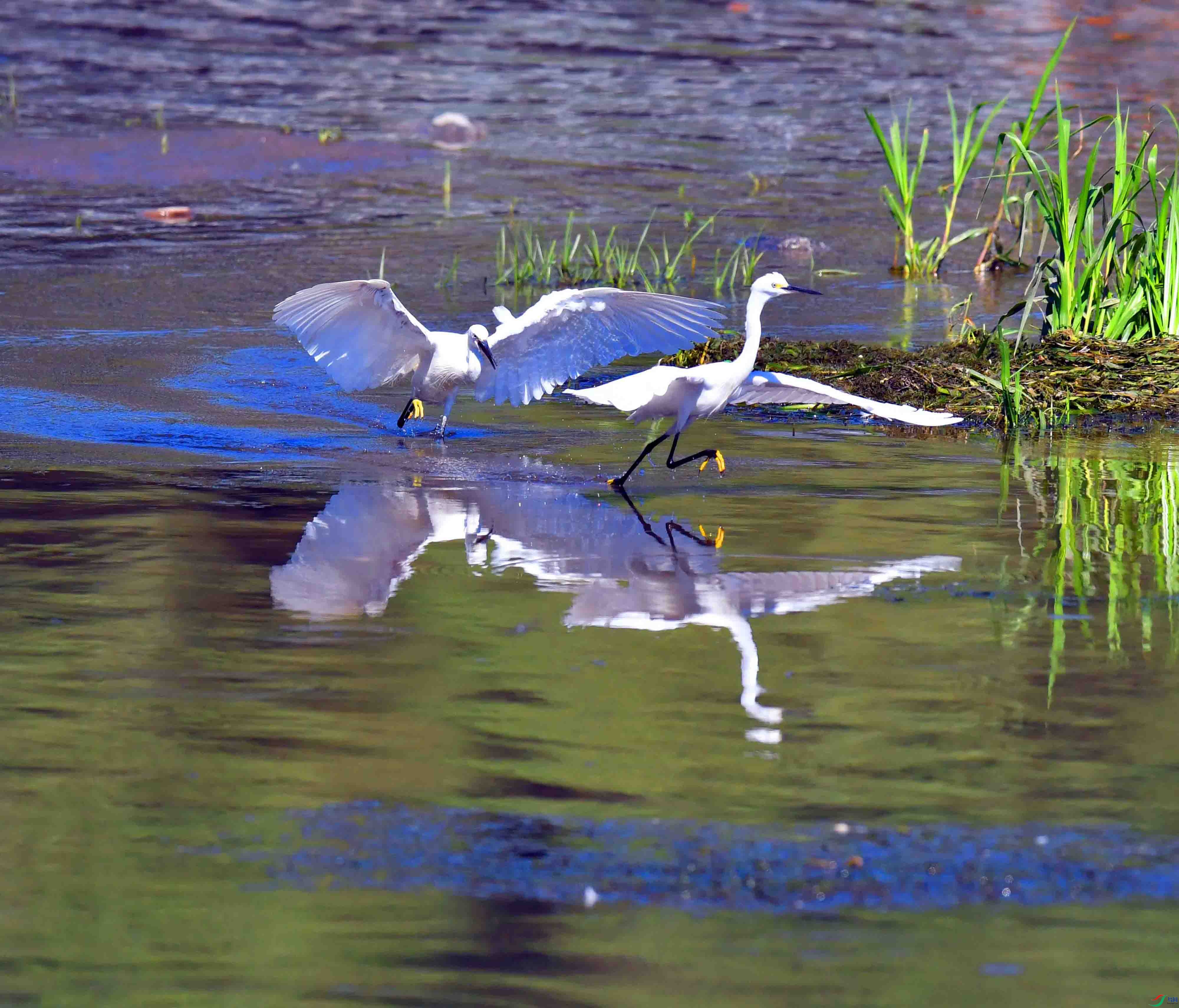 DSC_5477.JPG