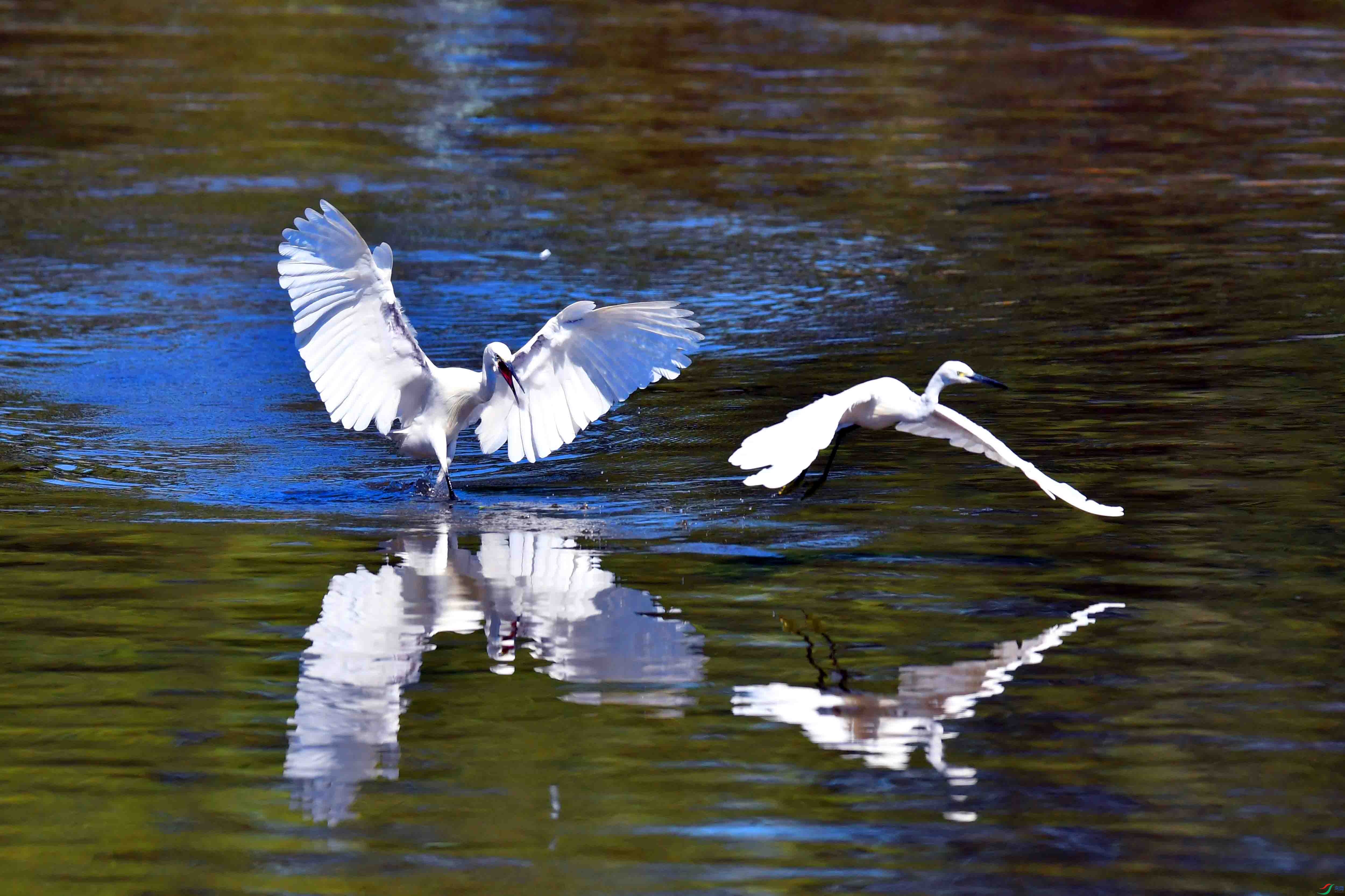 DSC_5469.JPG