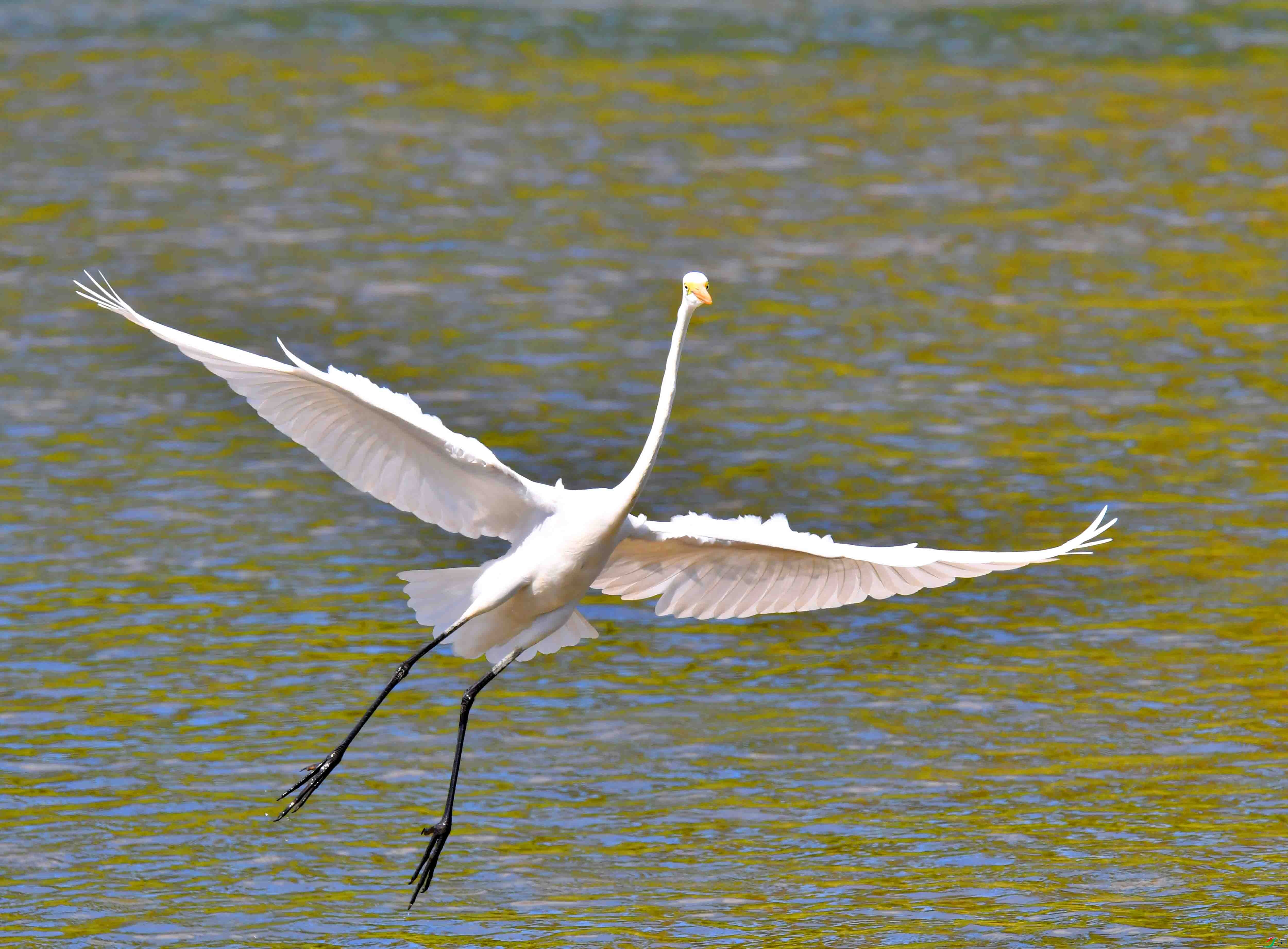 DSC_5896.JPG