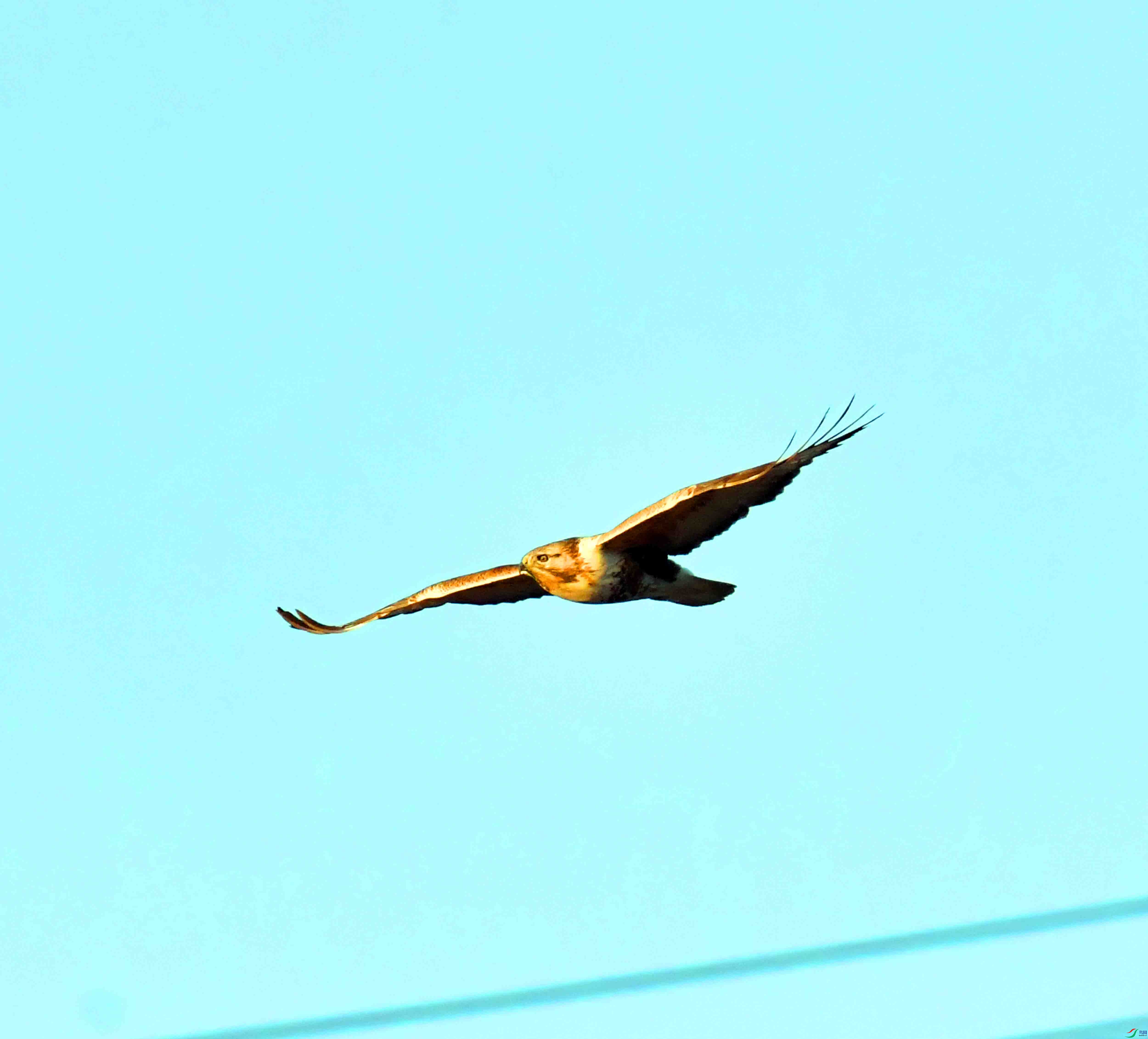 DSC_0324.JPG