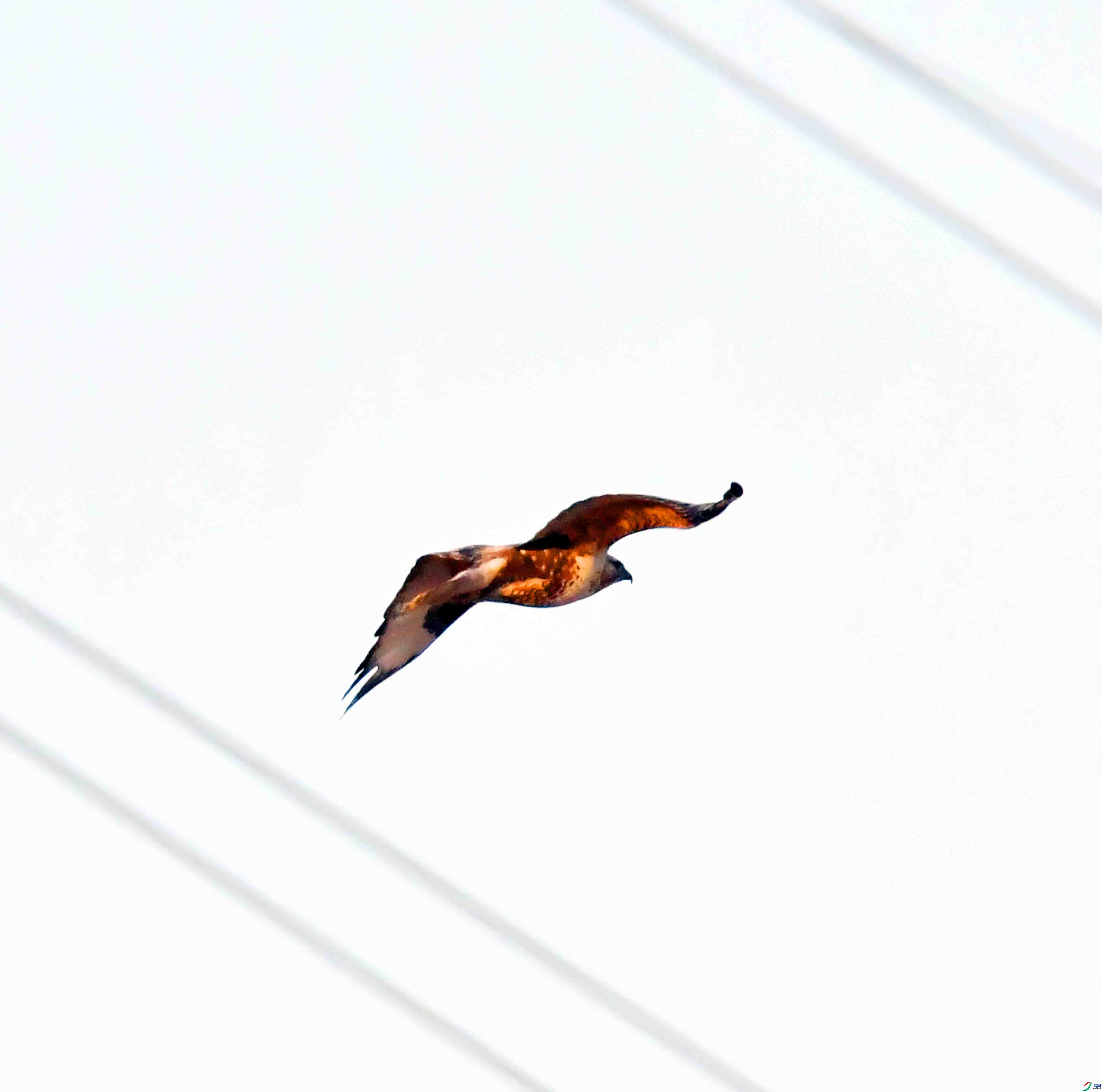 DSC_0323.JPG