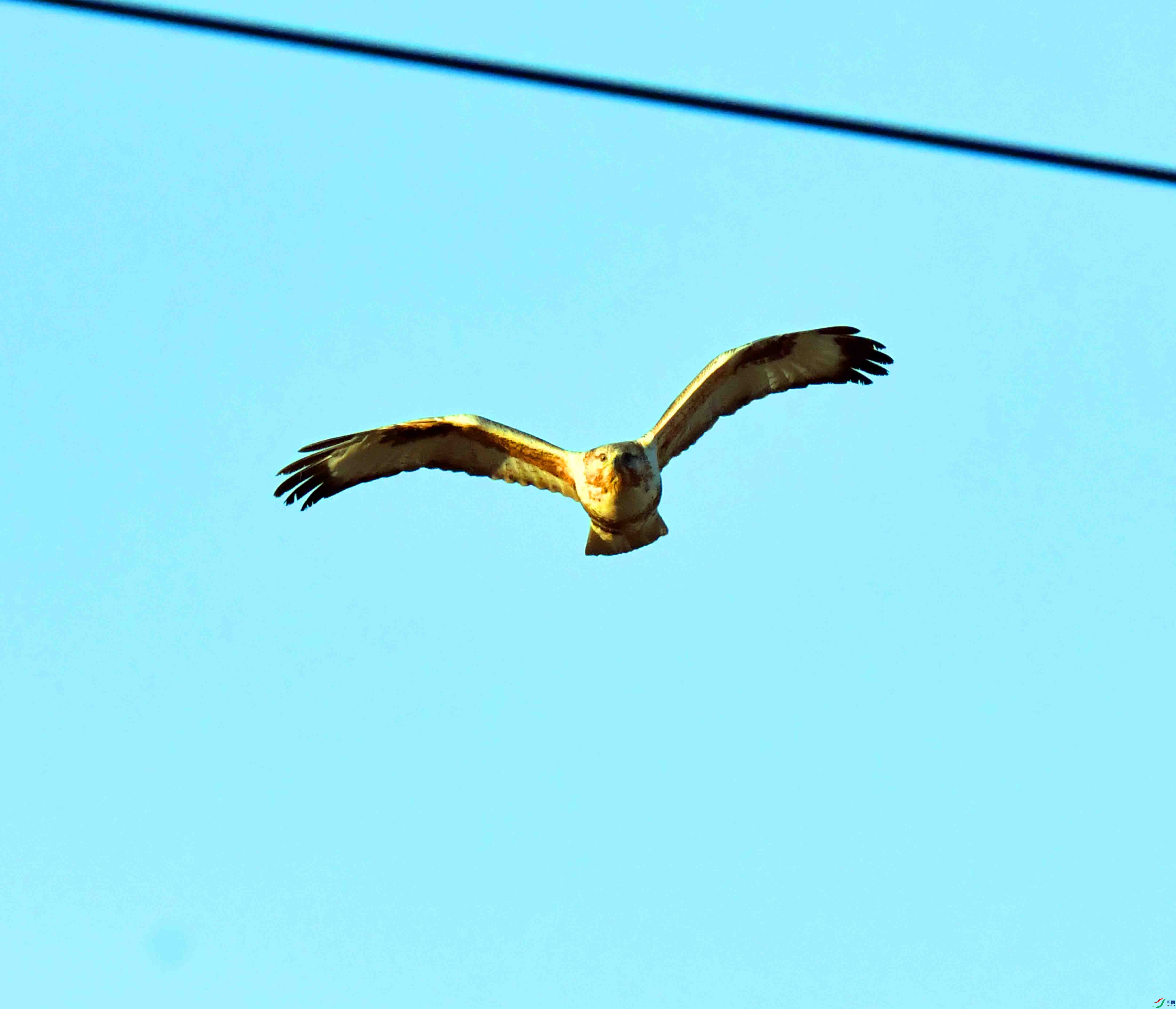 DSC_0359.JPG