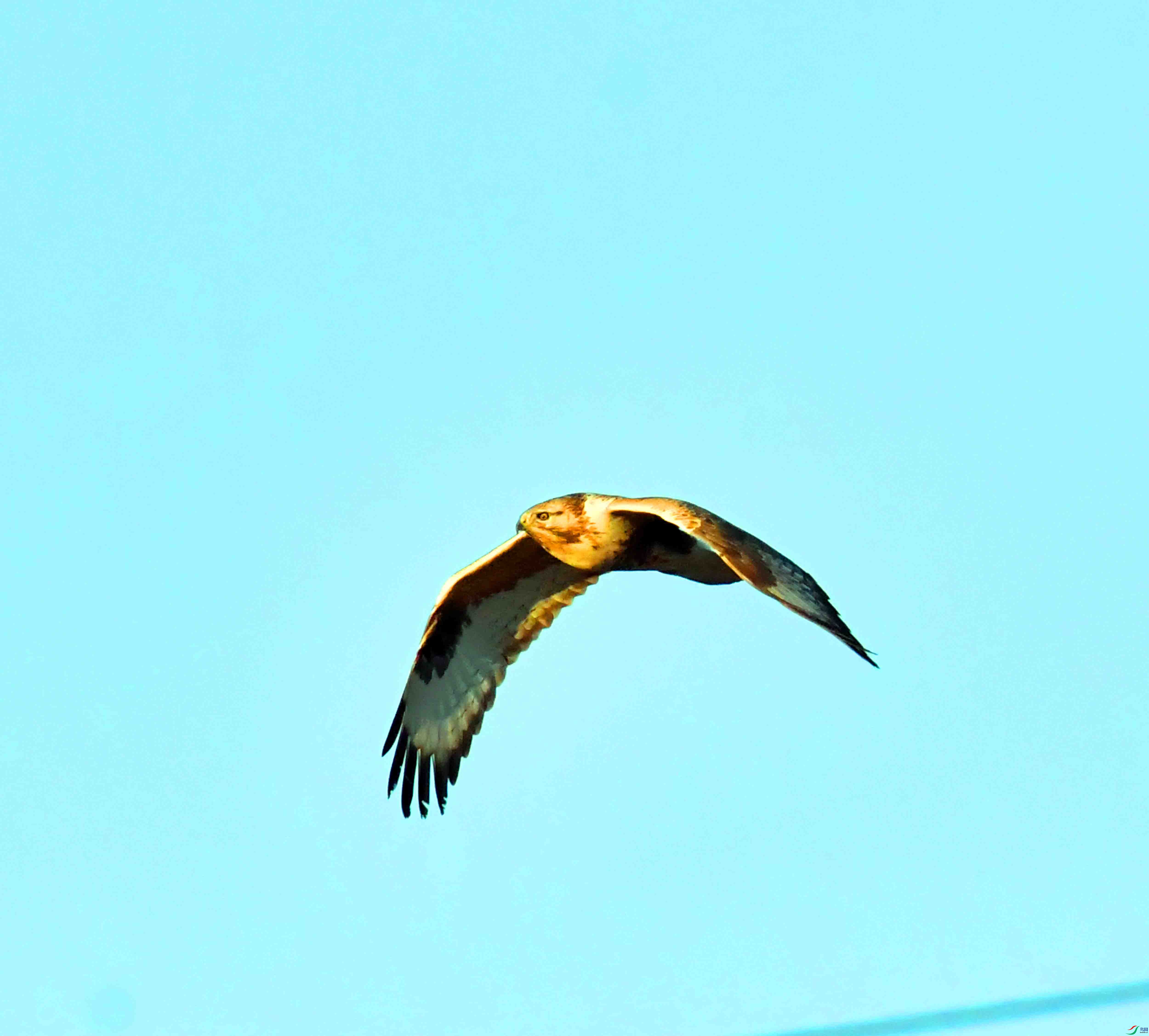 DSC_0325.JPG