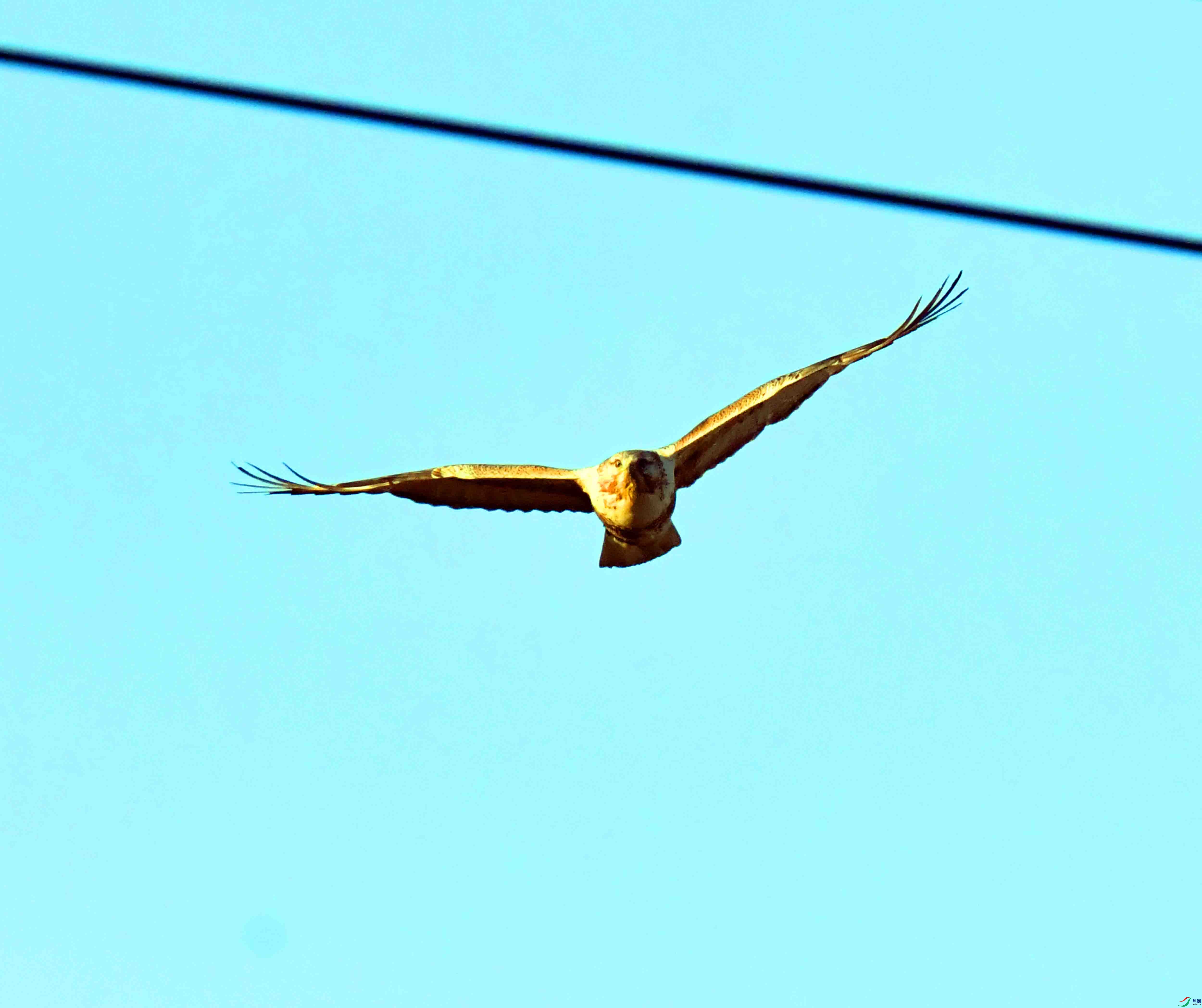 DSC_0360.JPG
