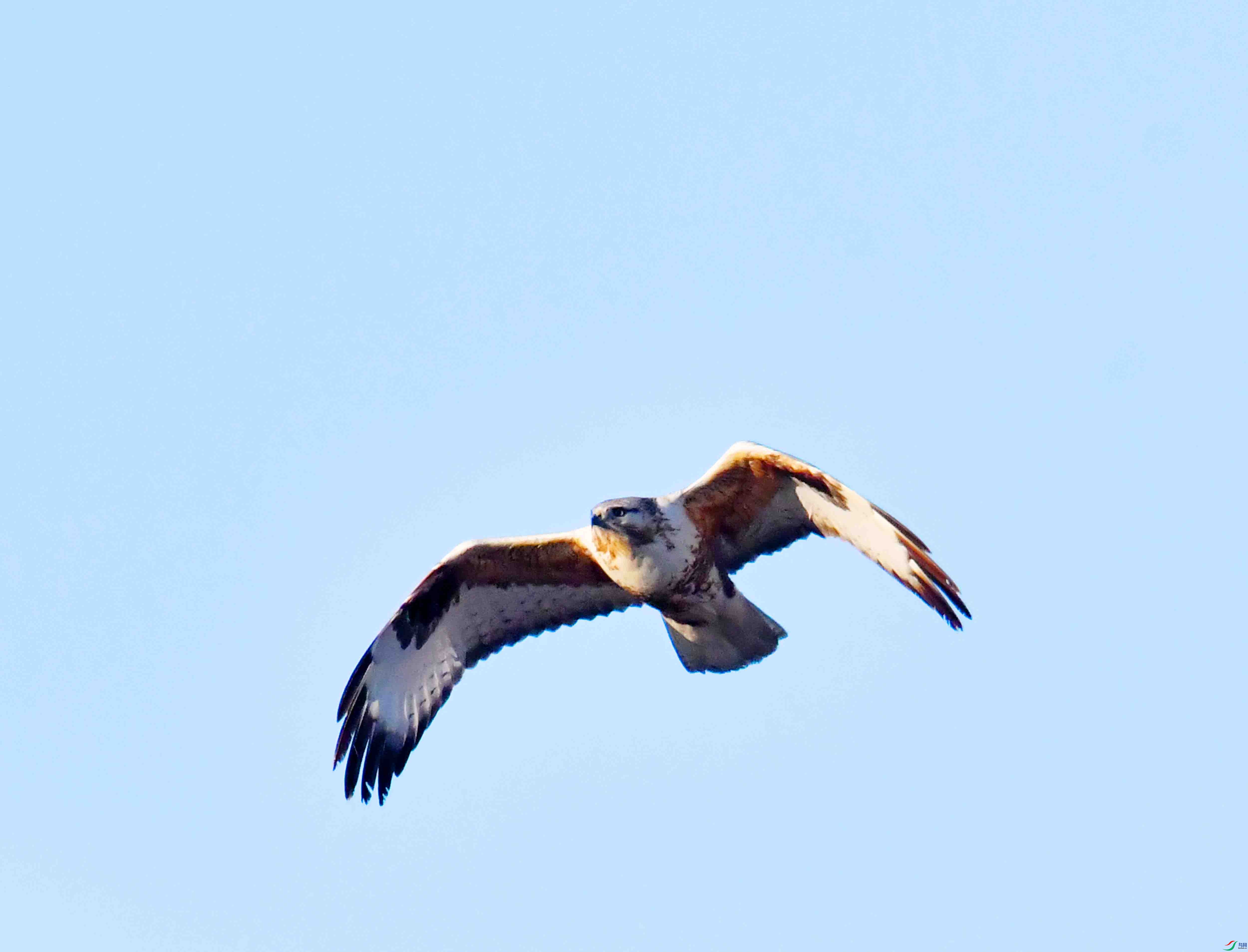 DSC_0366.JPG
