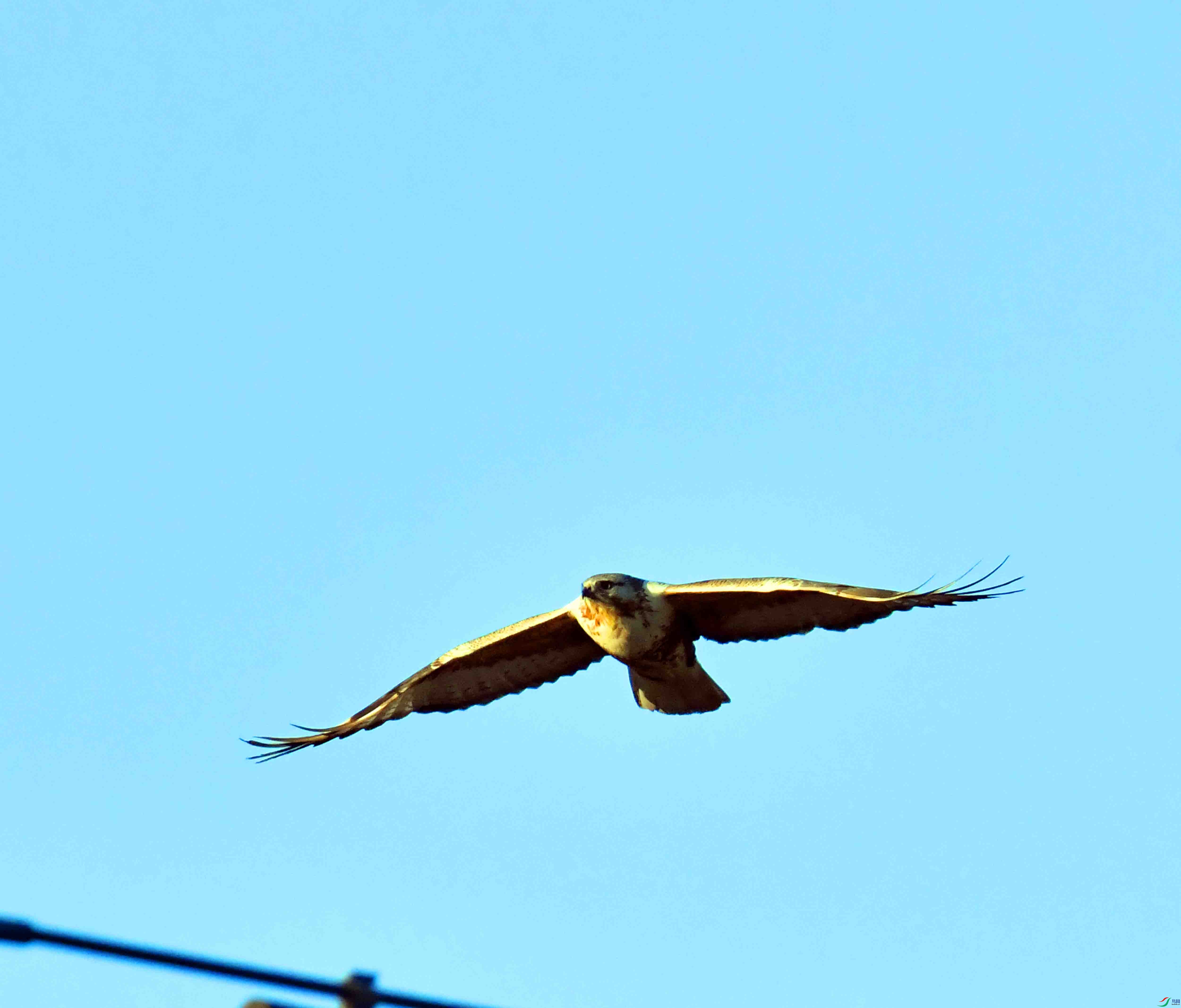 DSC_0365.JPG