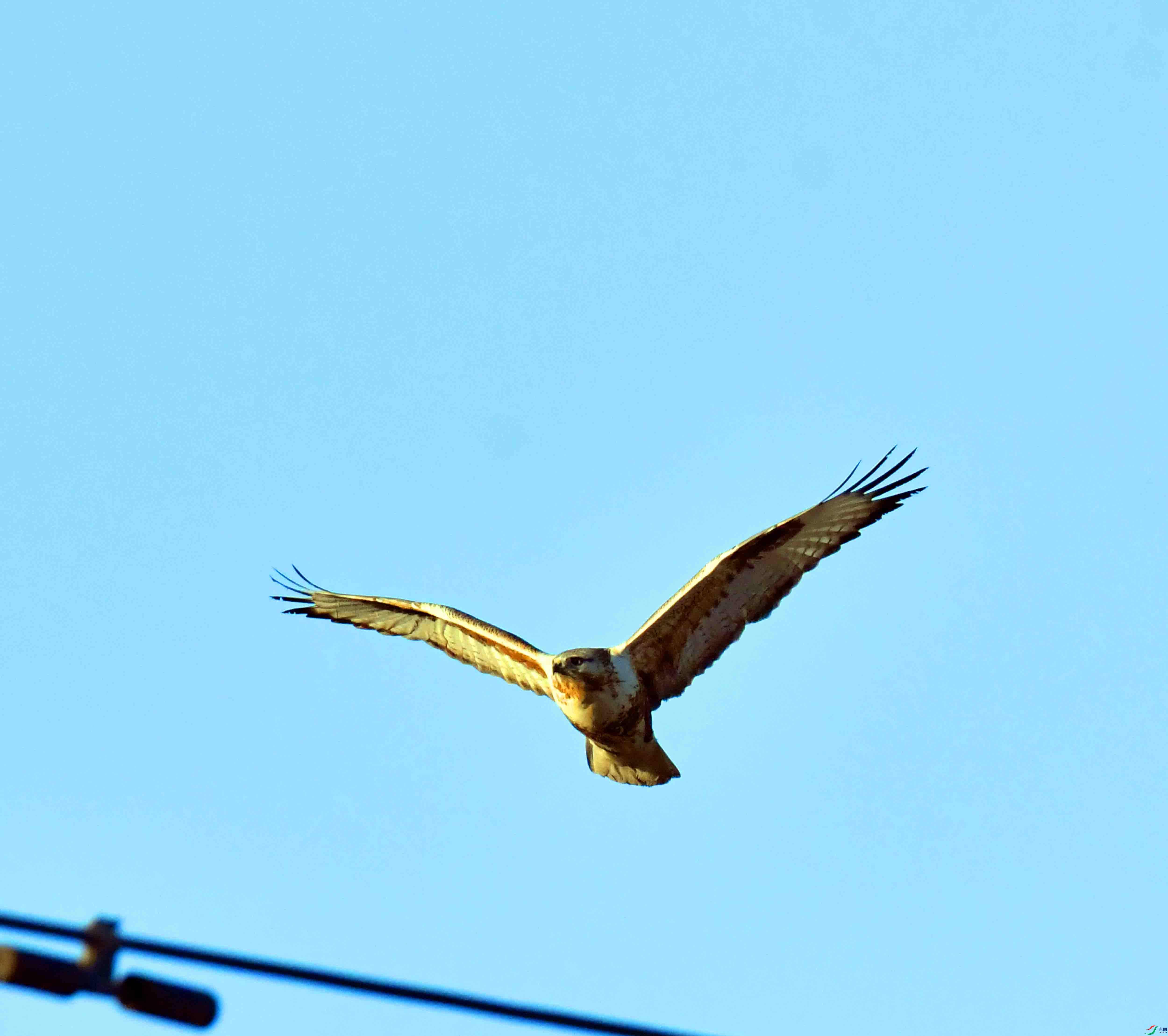 DSC_0364.JPG