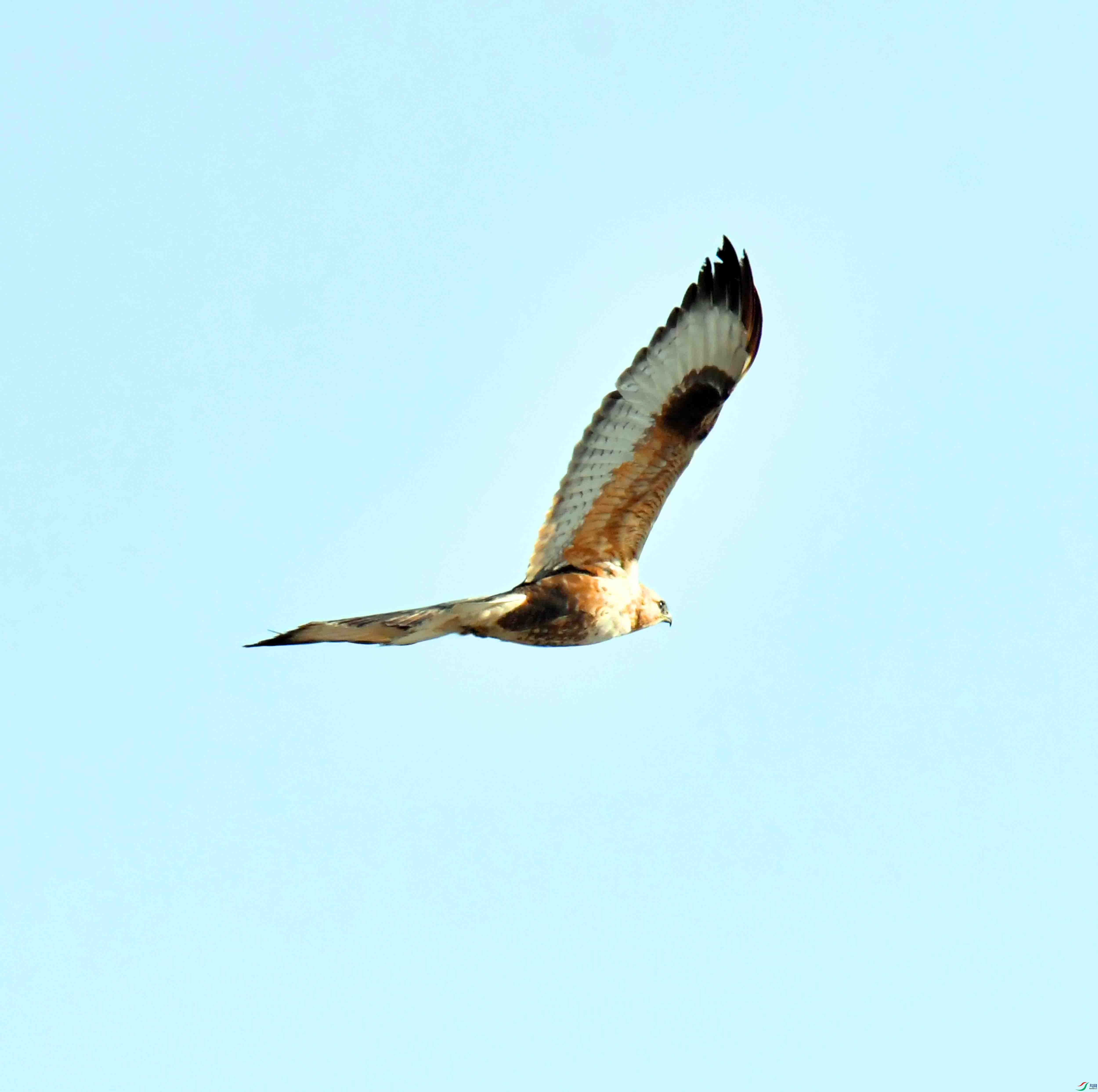 DSC_9037.JPG