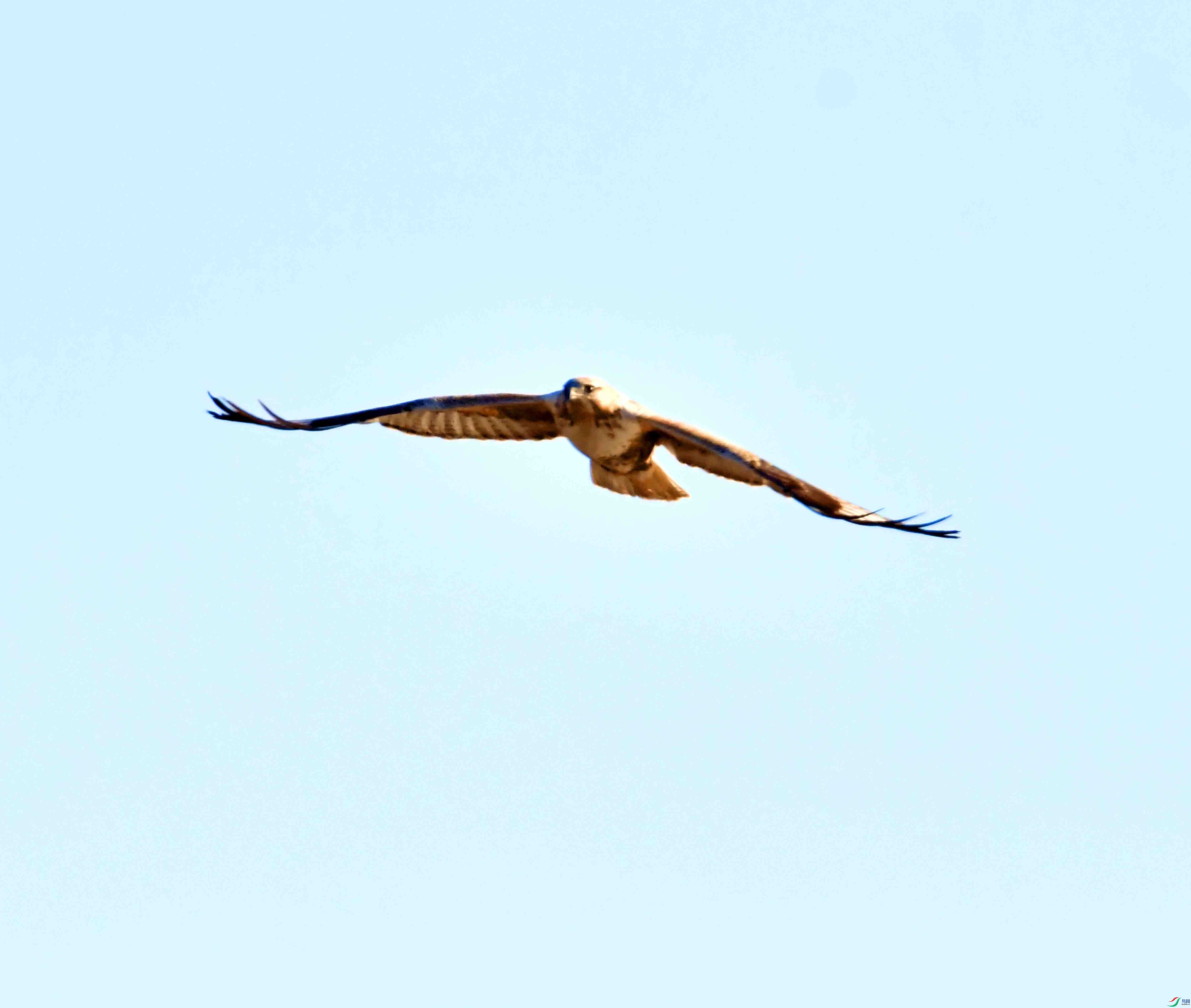 DSC_9045.JPG
