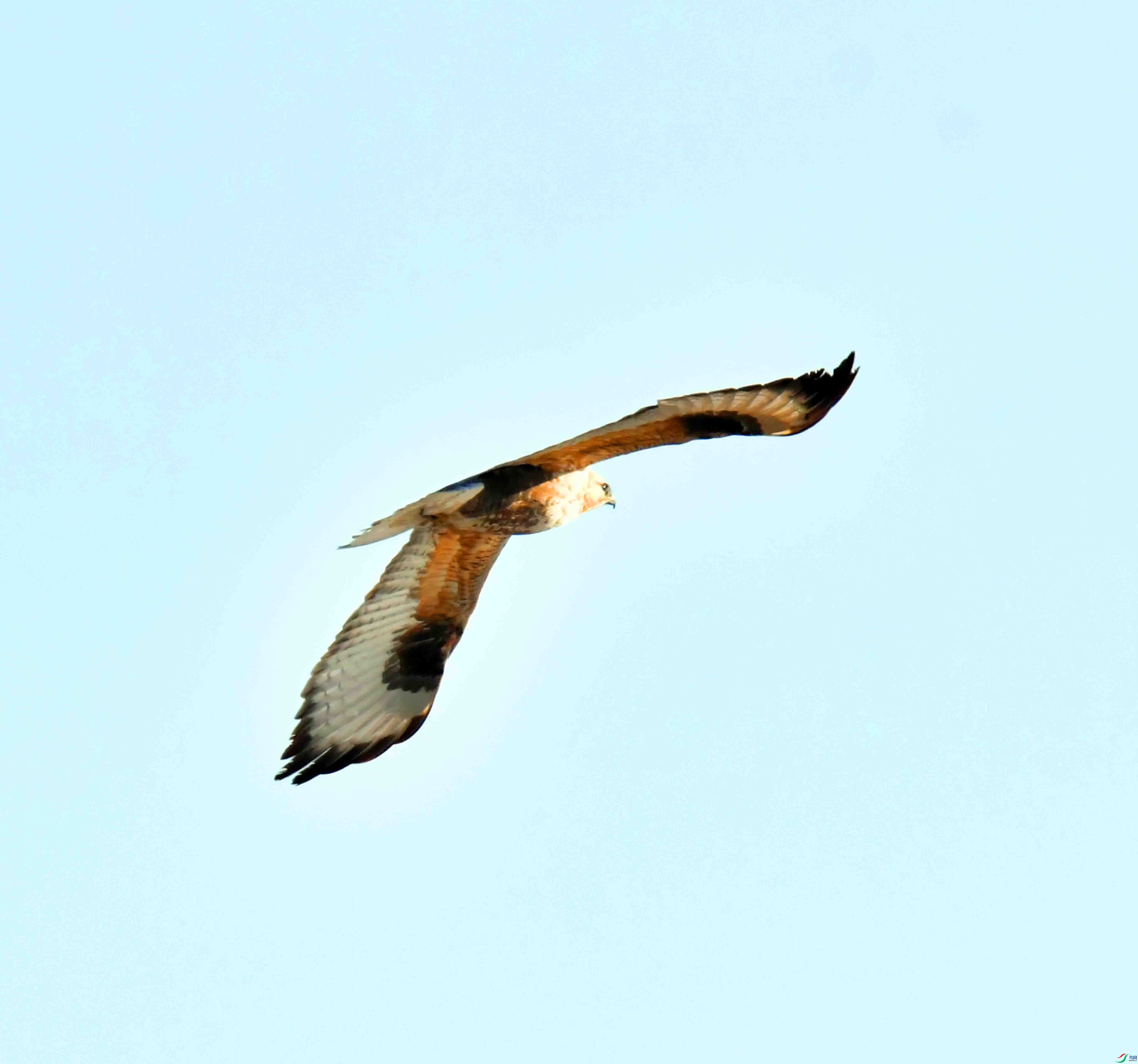 DSC_9038.JPG