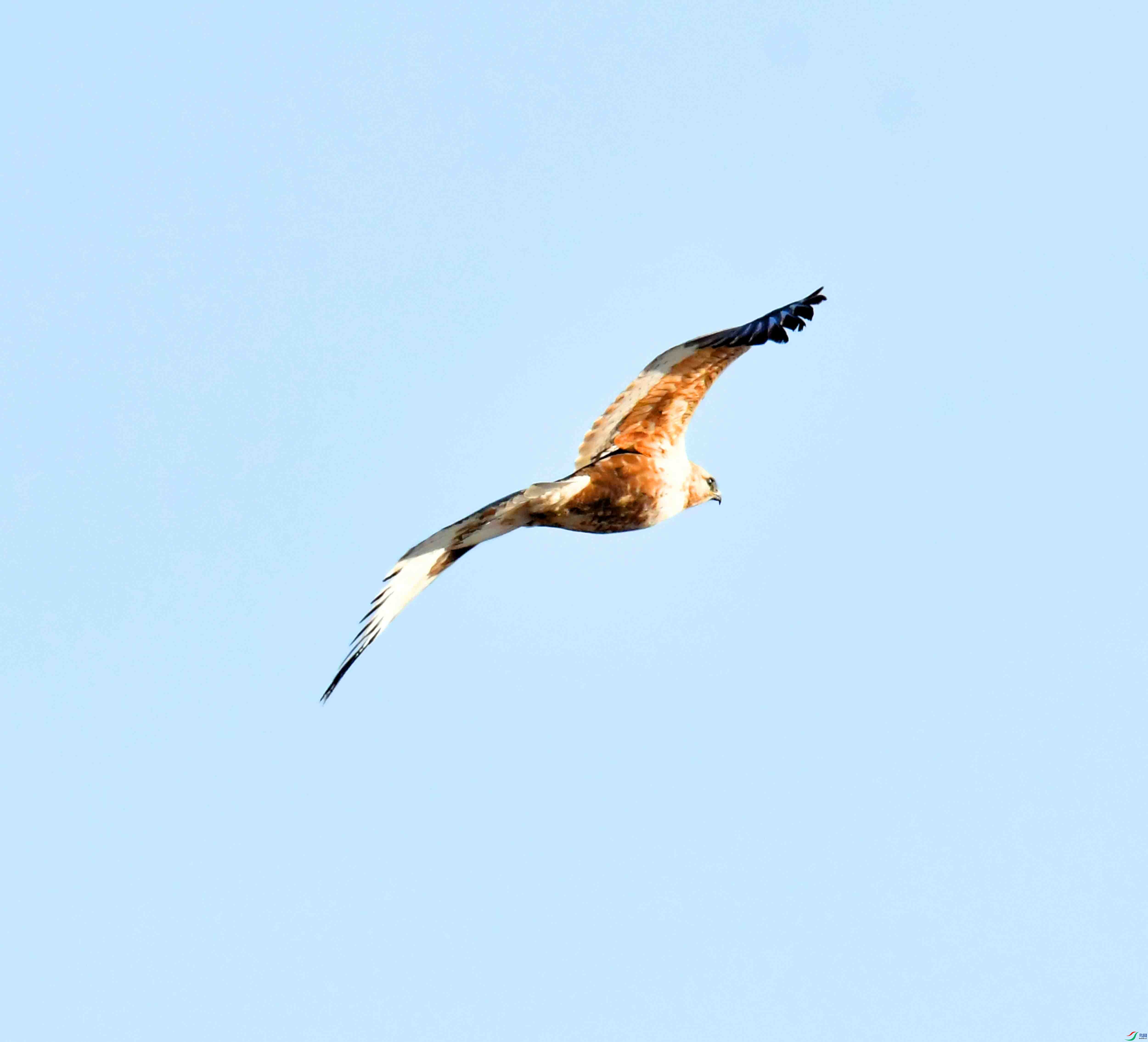 DSC_9039.JPG