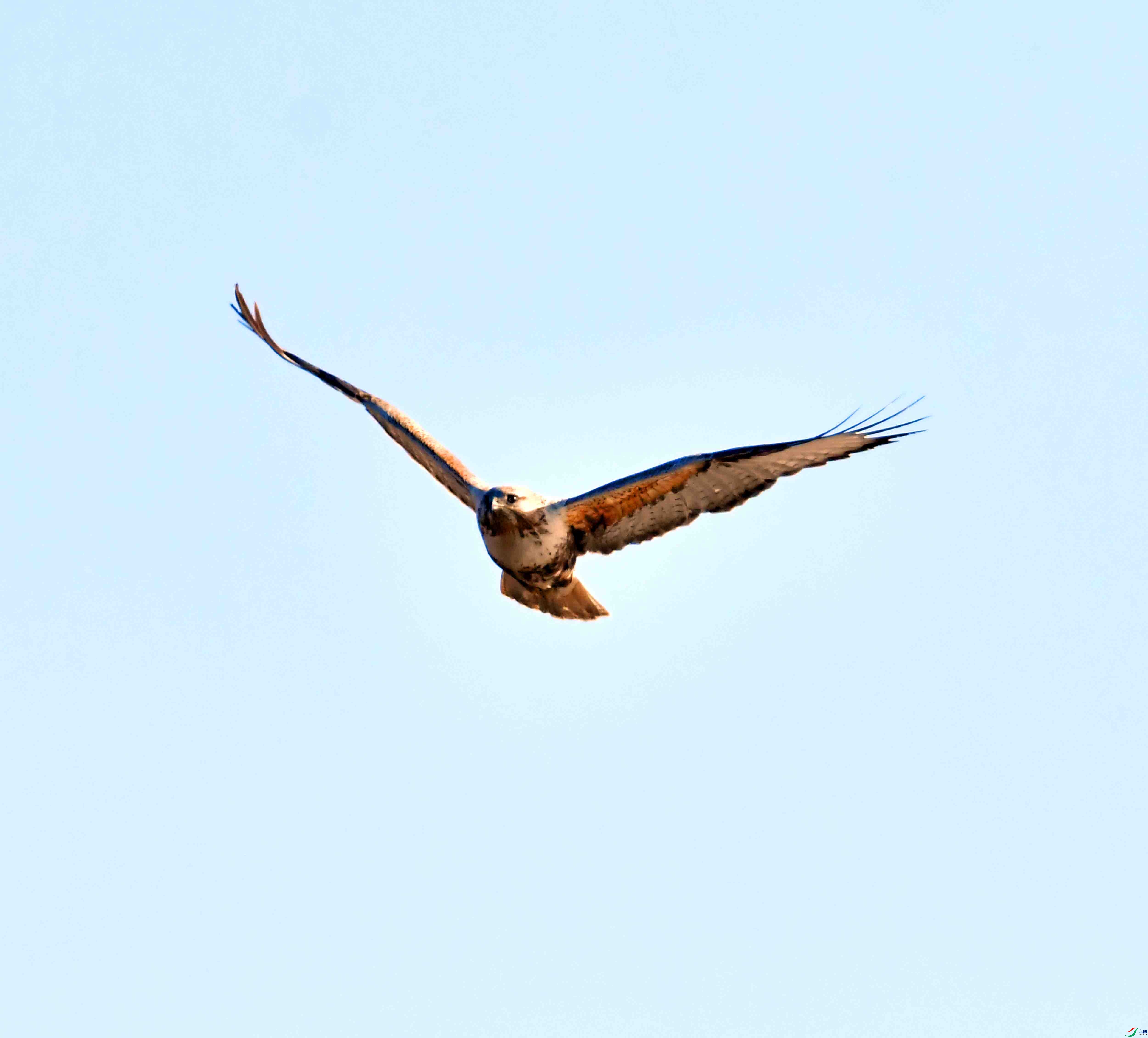DSC_9047.JPG