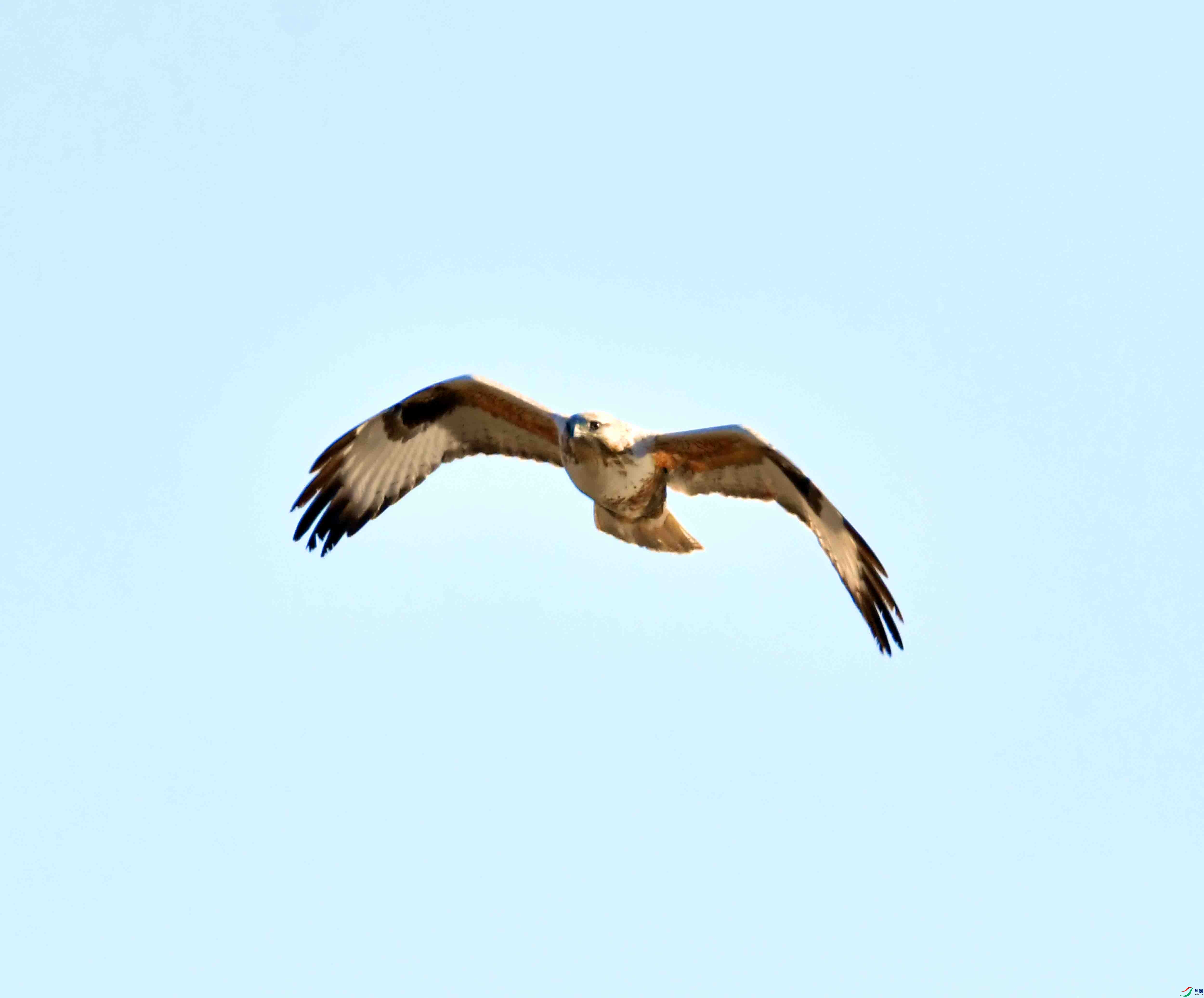 DSC_9046.JPG