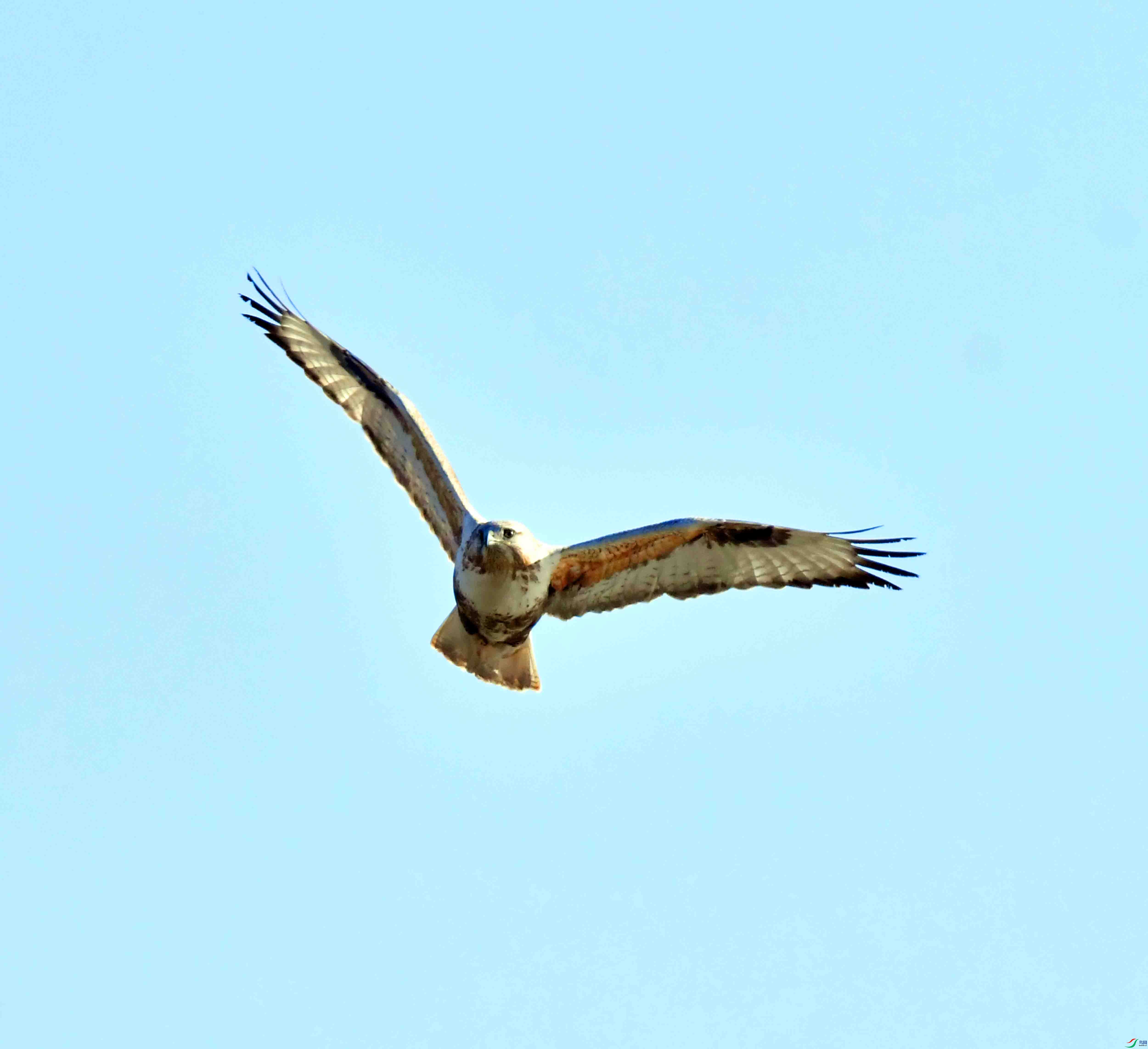 DSC_9048.JPG
