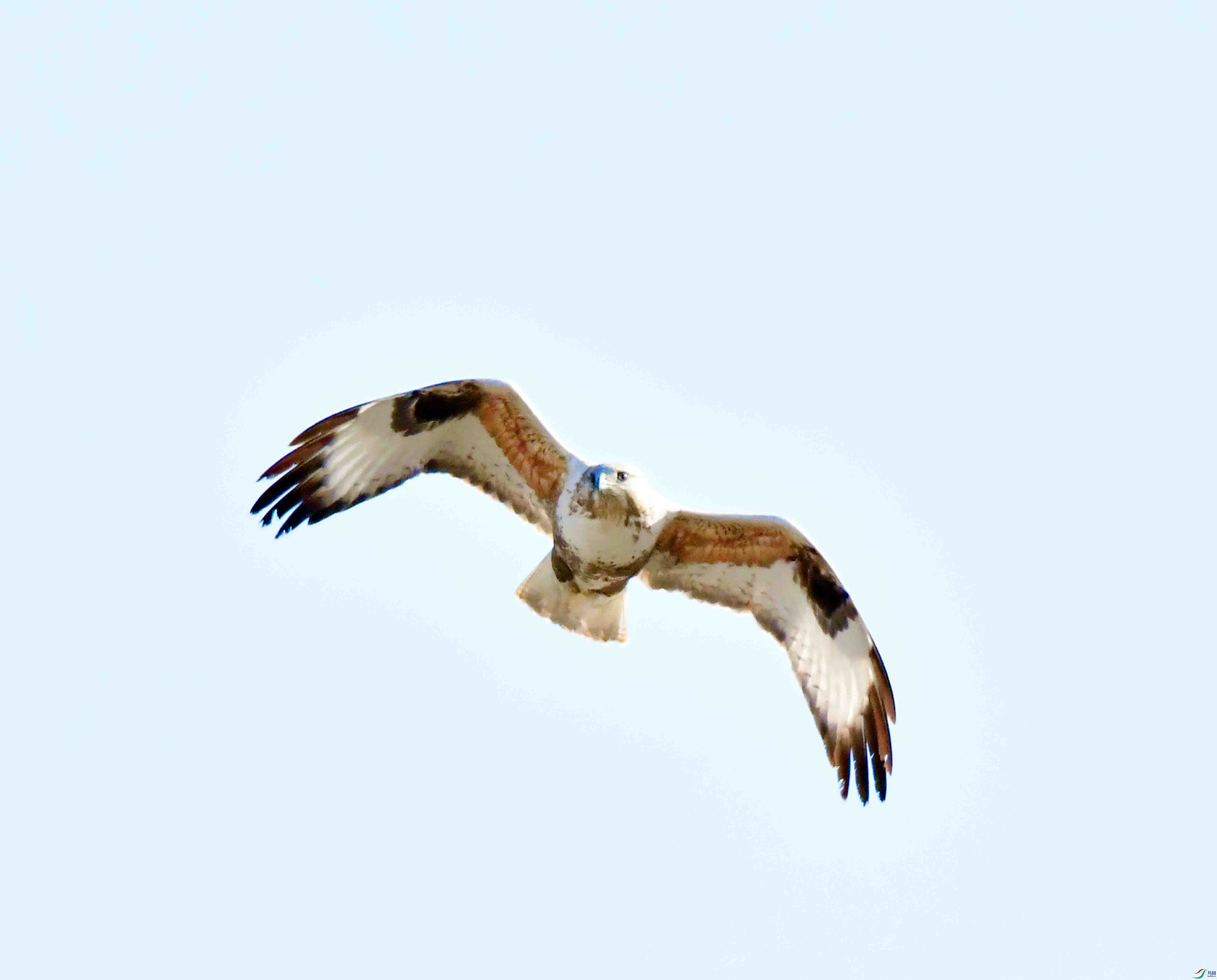 DSC_9050.JPG