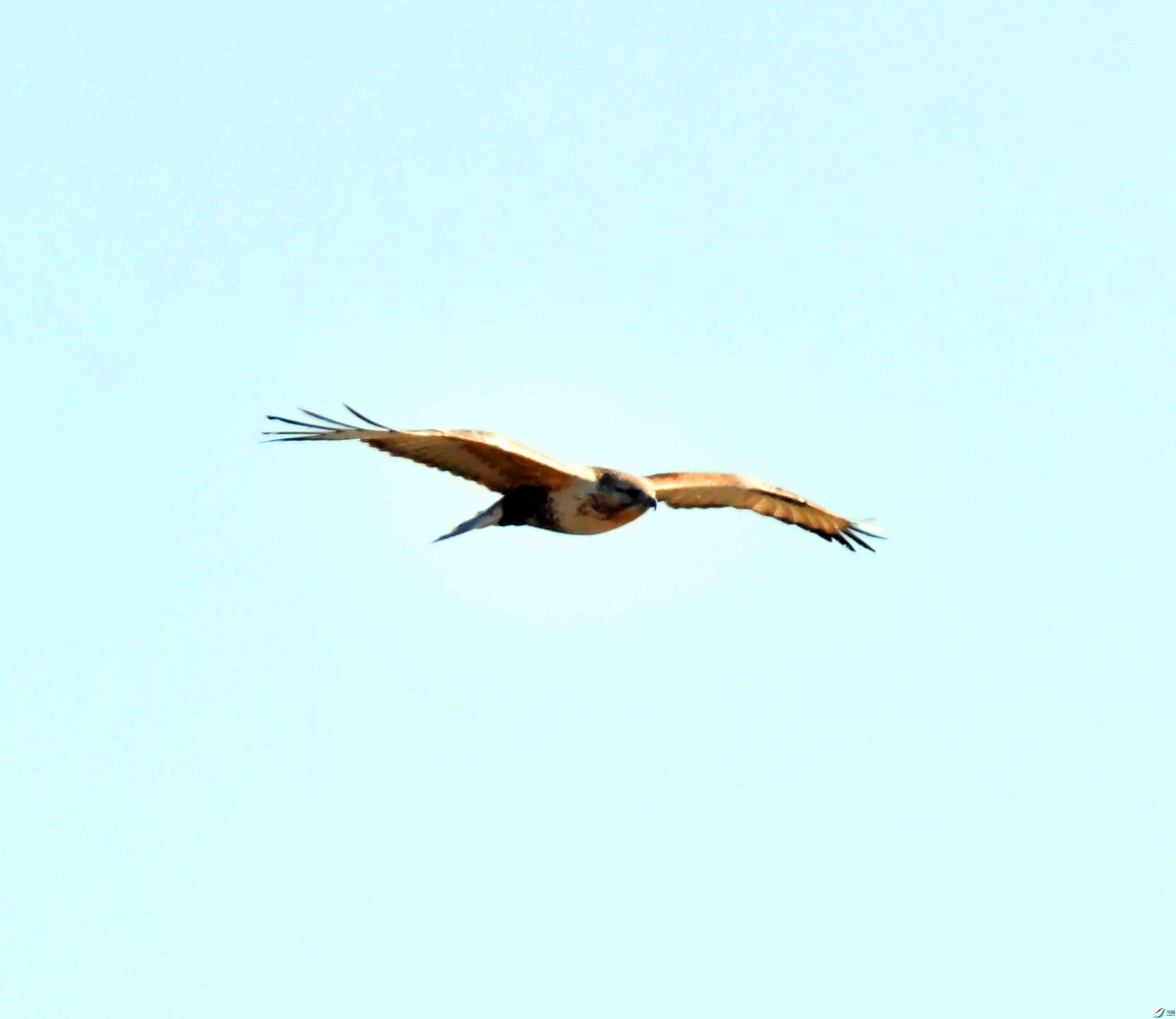 DSC_9063.JPG