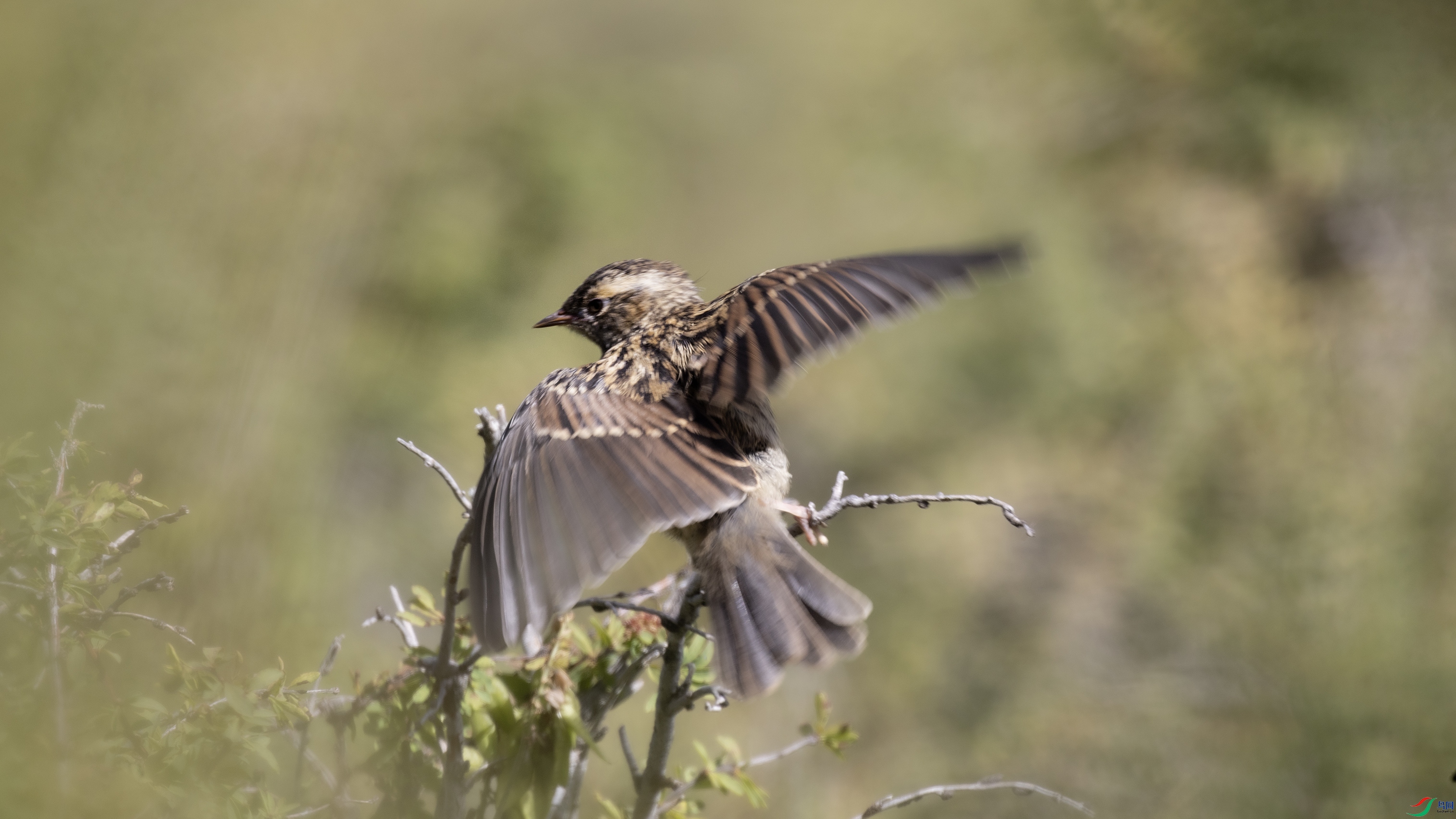 _X5A0124 ����4444.jpg