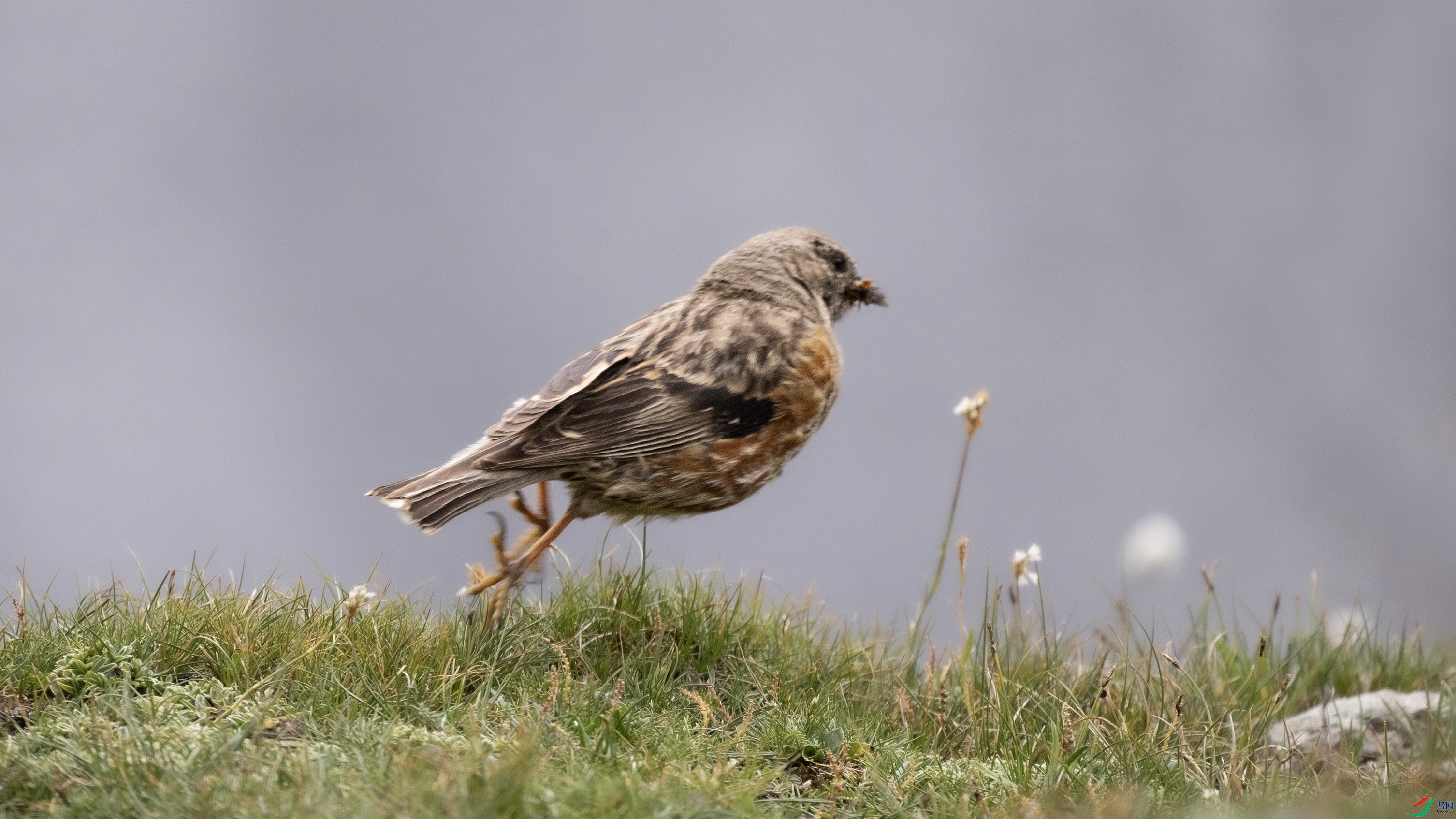 7X5A7934 ����4444.jpg