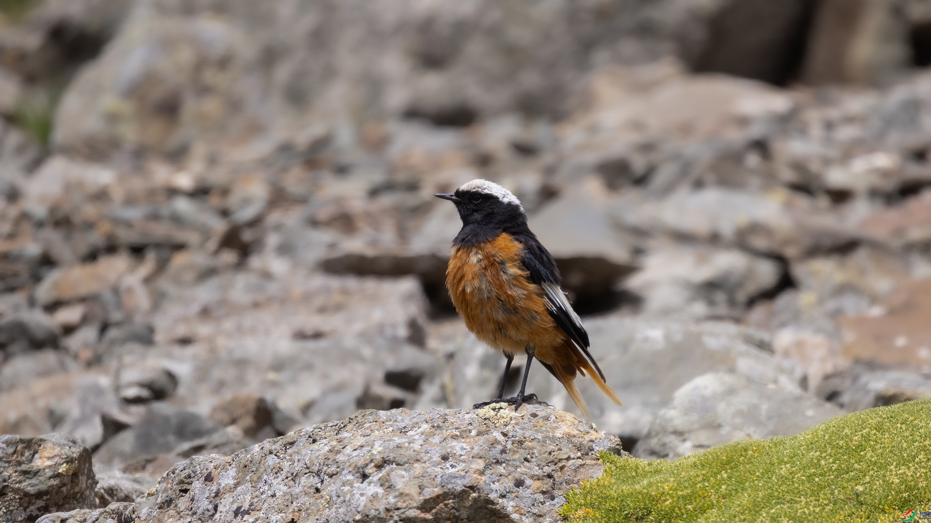 7X5A8210 ����44444.jpg