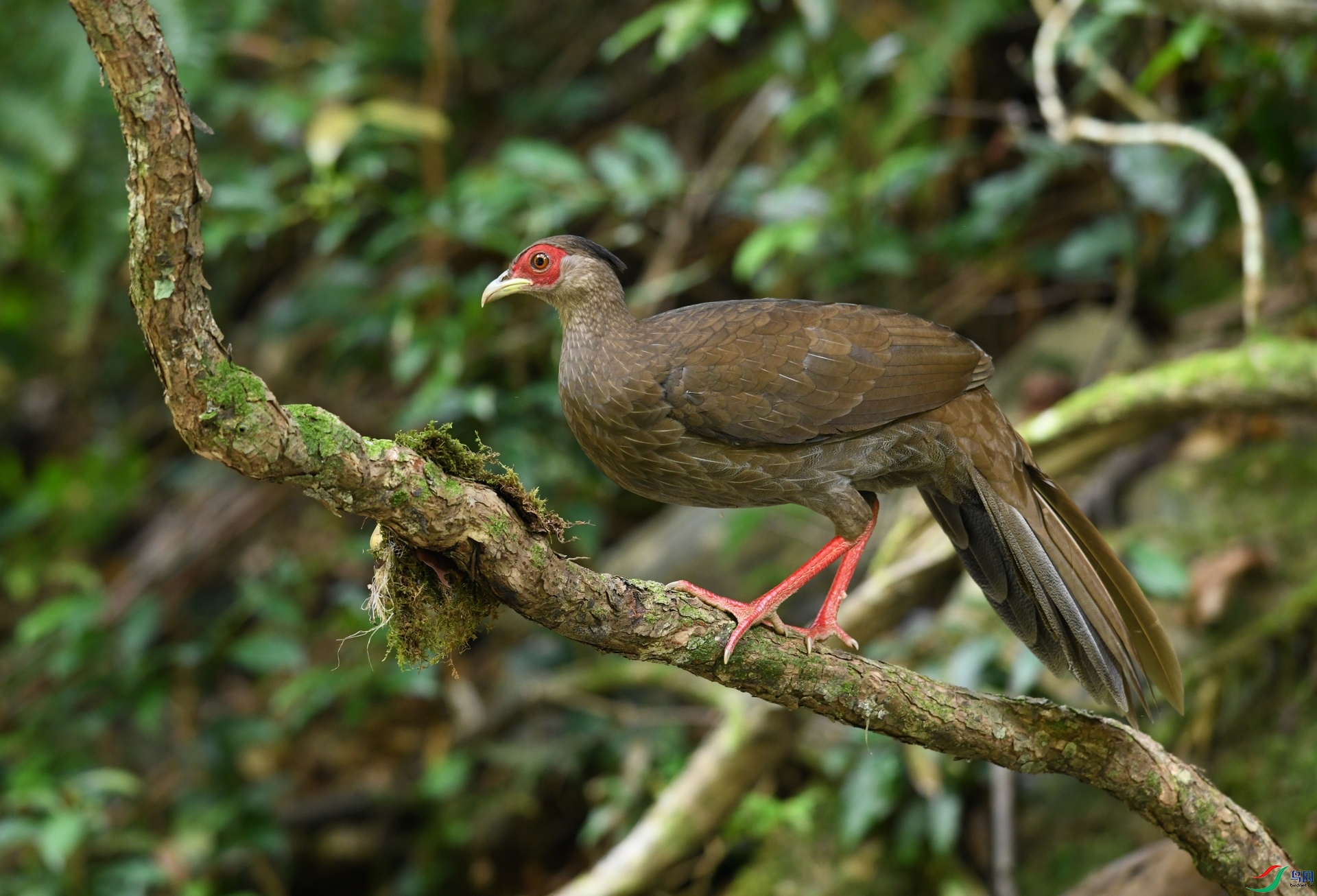 DSC_2434.jpg
