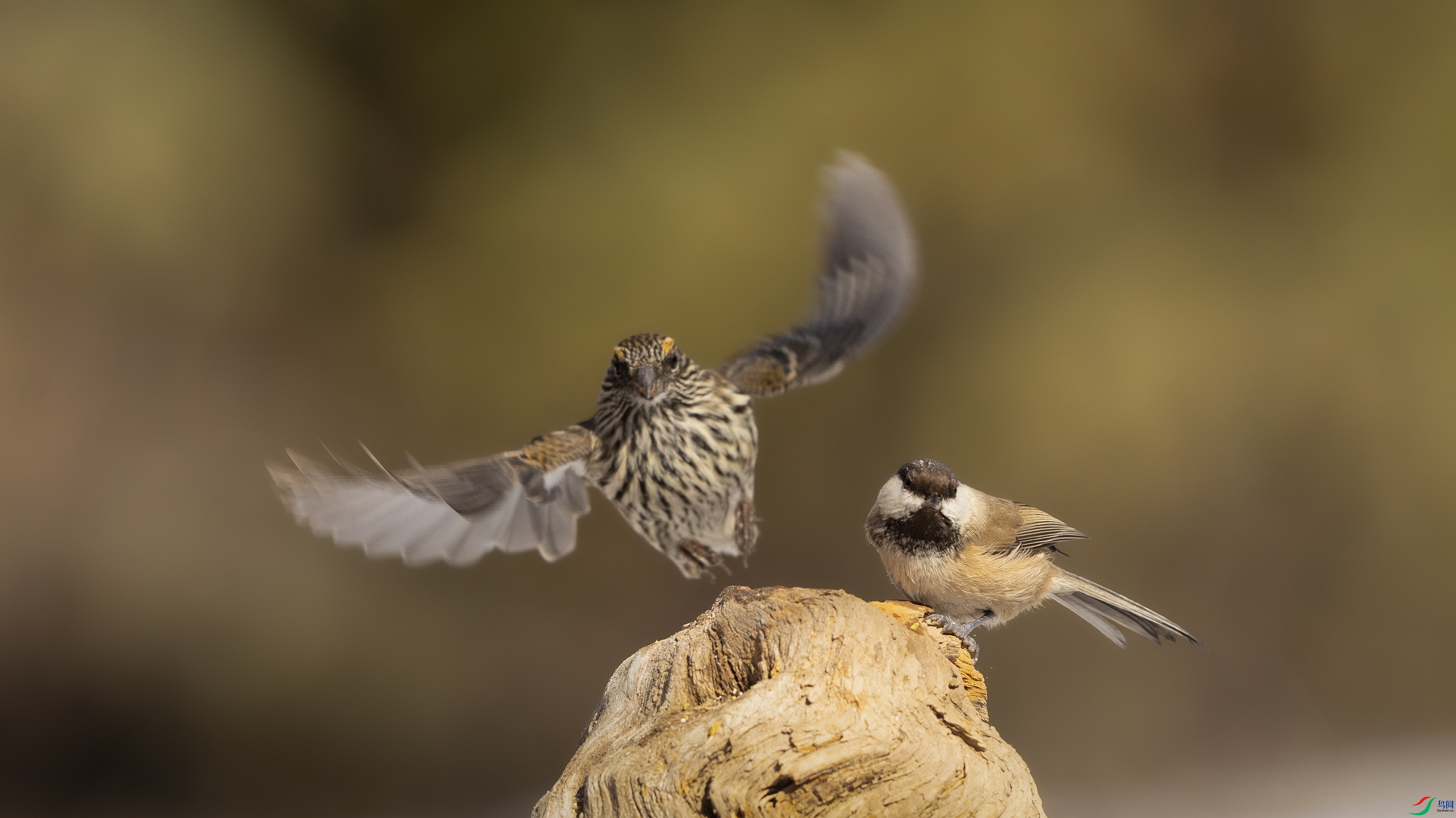 7X5A0538 ����44444.jpg