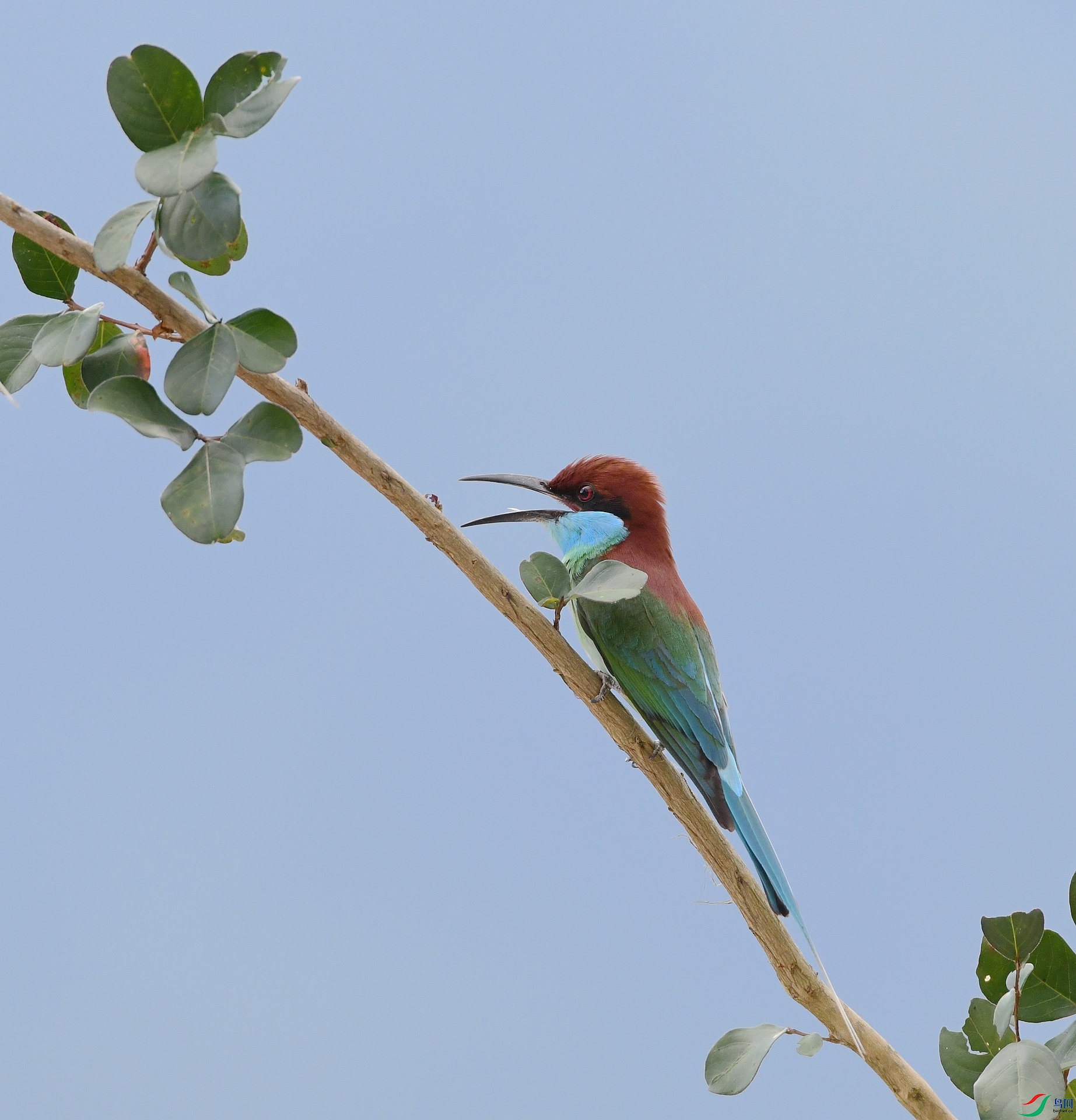 DSC_9436.jpg